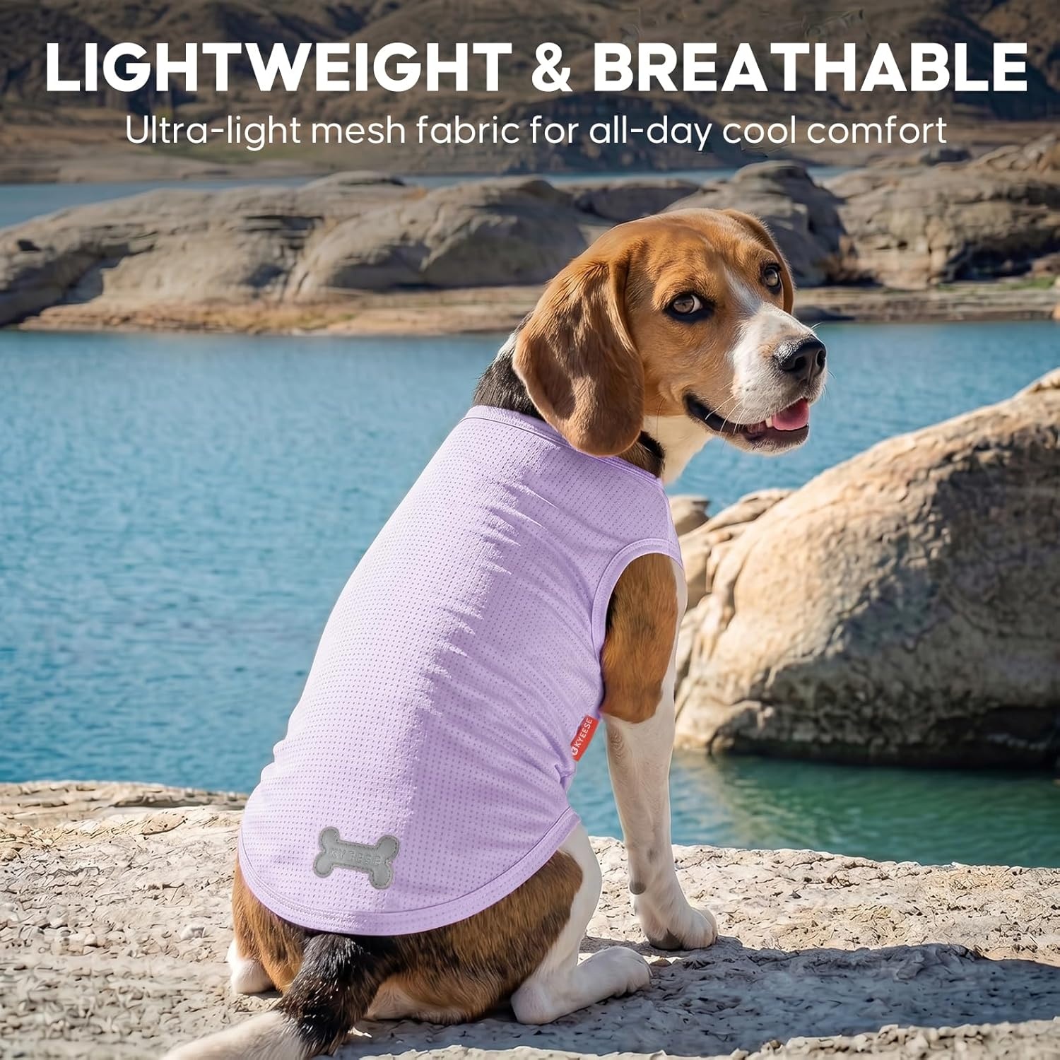 image:imageKYEESE 2Pack Dog Shirt Lightweight Sun Protection Dog T Shirts for Small Dogs Girl Breathable Mesh Tank Top Sleeveless Pet Reflective Vest Soft Summer Dogs Clothes LemonPink M3 2Pack DinosaurPurple