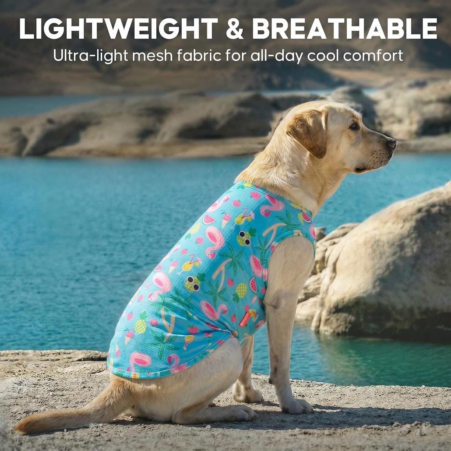 image:imageKYEESE 2Pack Dog Shirt Lightweight Sun Protection Dog T Shirts for Small Dogs Girl Breathable Mesh Tank Top Sleeveless Pet Reflective Vest Soft Summer Dogs Clothes LemonPink M1 2Pack Flamingoblue
