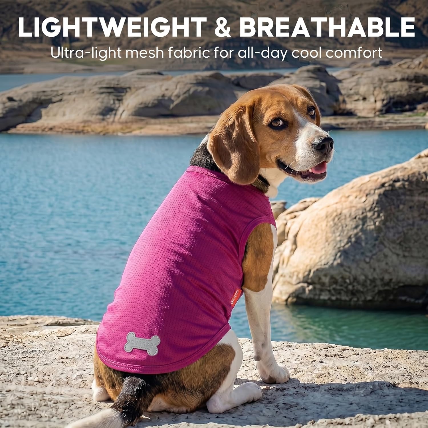 image:imageKYEESE 2Pack Dog Shirt Lightweight Sun Protection Dog T Shirts for Small Dogs Girl Breathable Mesh Tank Top Sleeveless Pet Reflective Vest Soft Summer Dogs Clothes LemonPink M5 2Pack Strawberryrose