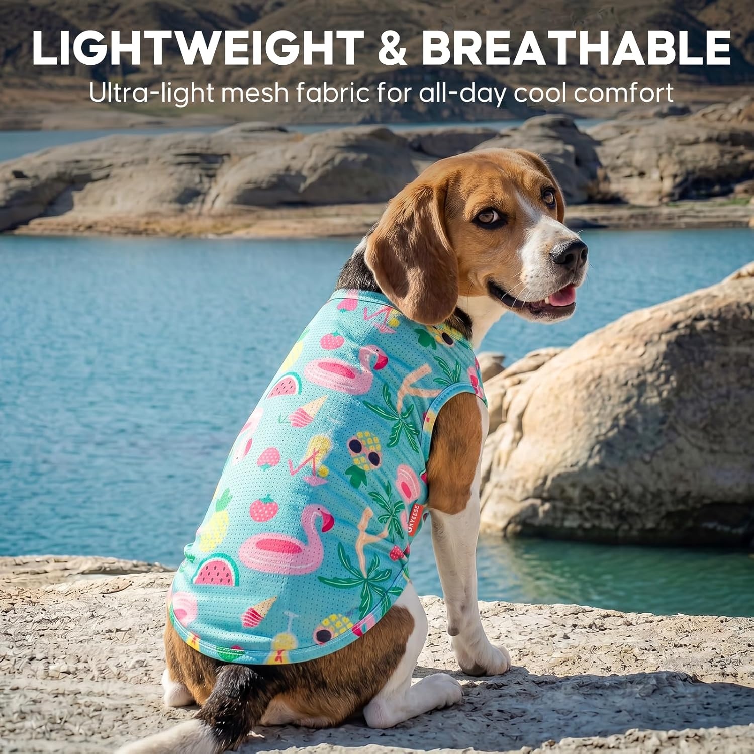 image:imageKYEESE 2Pack Dog Shirt Lightweight Sun Protection Dog T Shirts for Small Dogs Girl Breathable Mesh Tank Top Sleeveless Pet Reflective Vest Soft Summer Dogs Clothes LemonPink M1 2Pack Flamingoblue