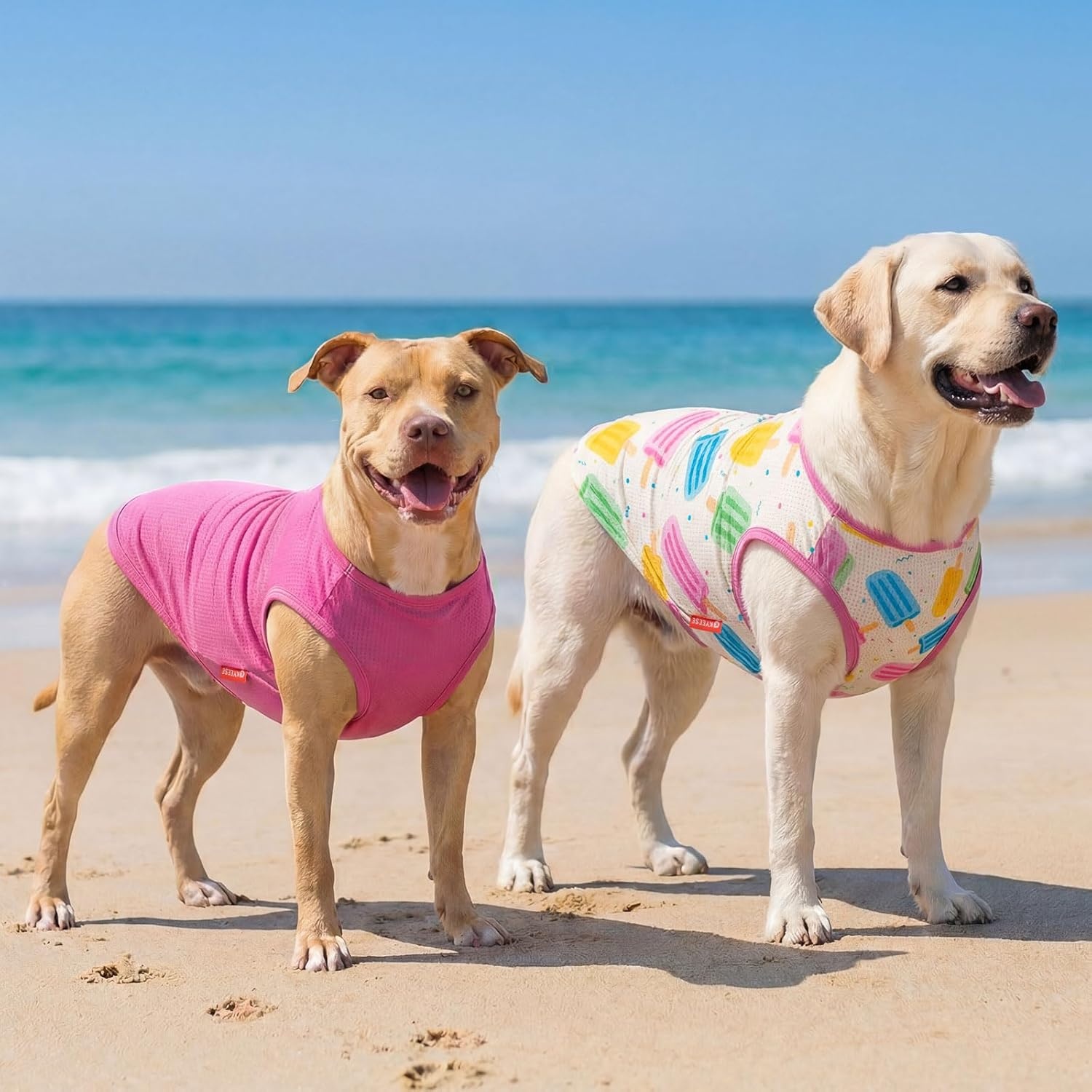 image:imageKYEESE 2Pack Dog Shirt Lightweight Sun Protection Dog T Shirts for Small Dogs Girl Breathable Mesh Tank Top Sleeveless Pet Reflective Vest Soft Summer Dogs Clothes LemonPink M6 2Pack Ice PopPink