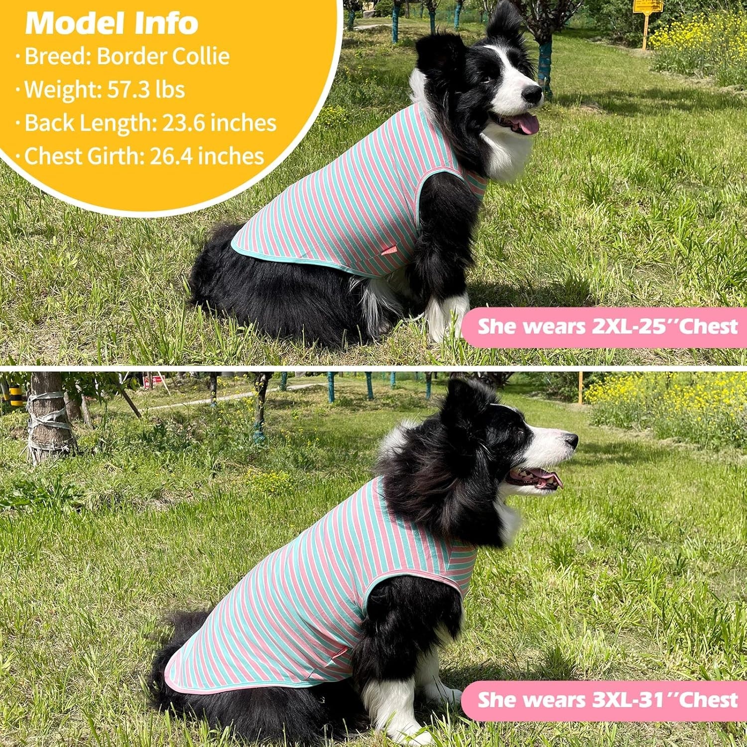 image:imageKYEESE 2Pack Dog Shirt Soft Striped Dogs T Shirts Lightweight Doggie Tank Top Cat Clothes Sleeveless Dog Shirt for Small Dogs Stretchy Pet Vest Pink Medium01 2Pack PinkStriped