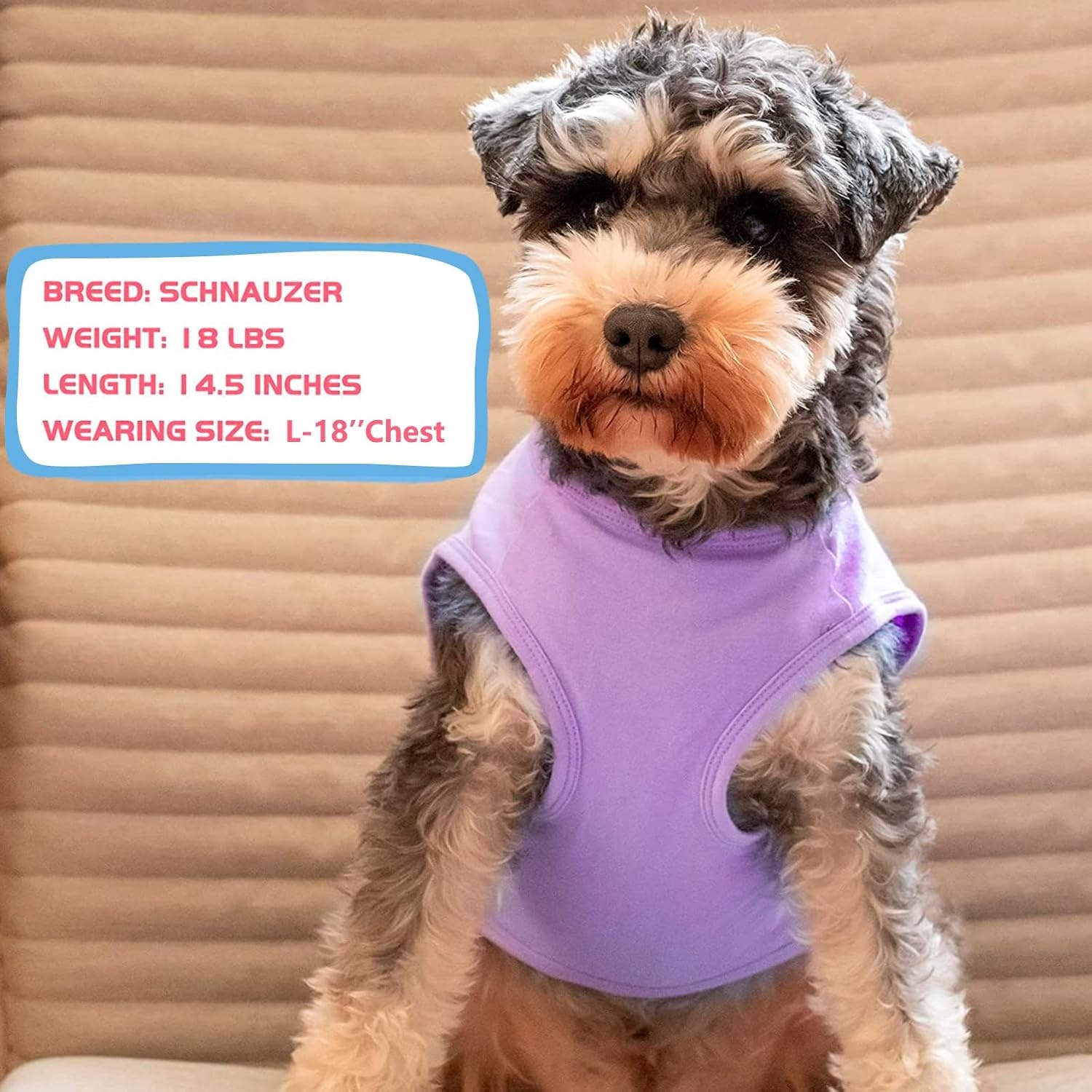 image:imageKYEESE 2Pack Dog Shirt Soft Striped Dogs T Shirts Lightweight Doggie Tank Top Cat Clothes Sleeveless Dog Shirt for Small Dogs Stretchy Pet Vest Pink Medium04 2Pack PurplePurple Striped