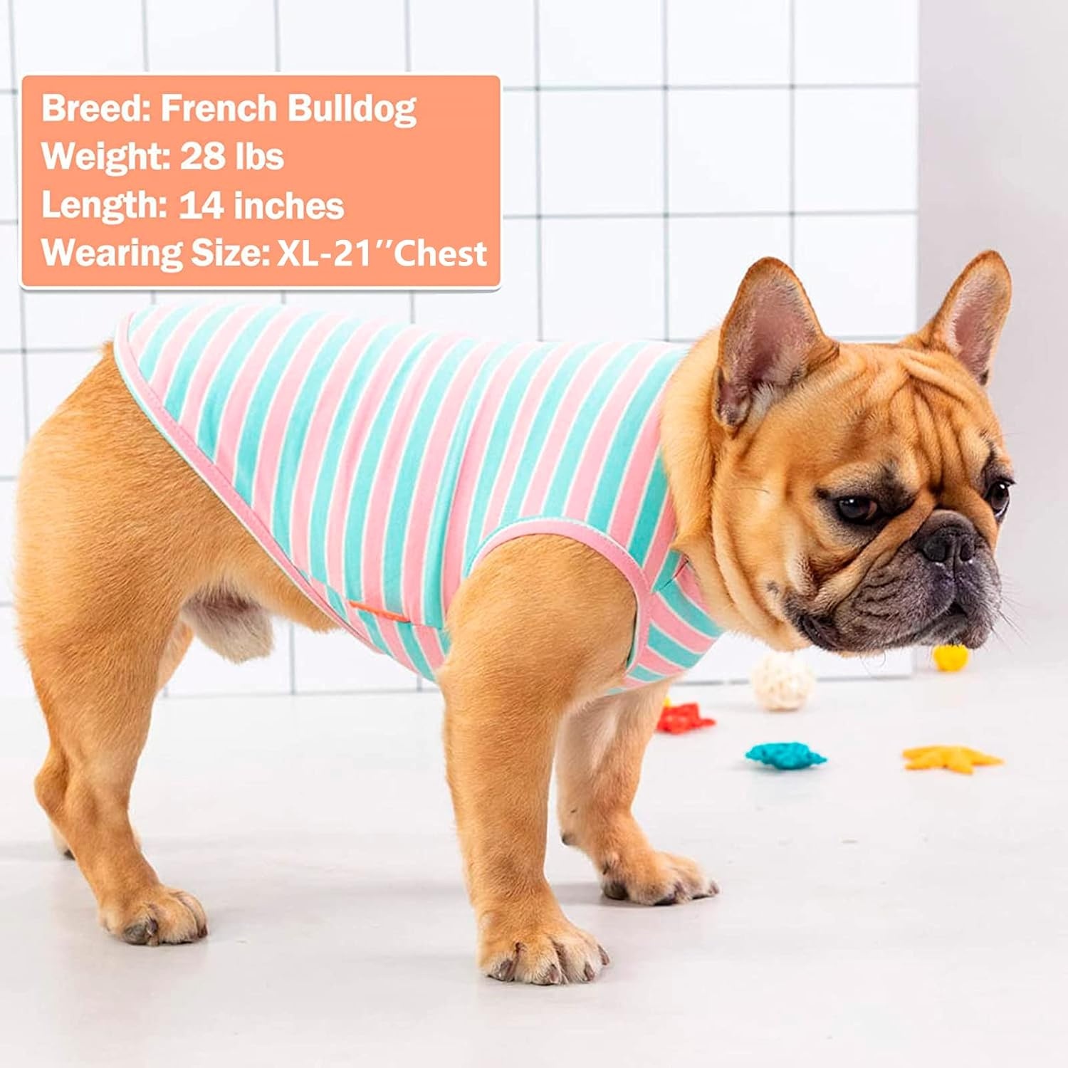 image:imageKYEESE 2Pack Dog Shirt Soft Striped Dogs T Shirts Lightweight Doggie Tank Top Cat Clothes Sleeveless Dog Shirt for Small Dogs Stretchy Pet Vest Pink Medium01 2Pack PinkStriped