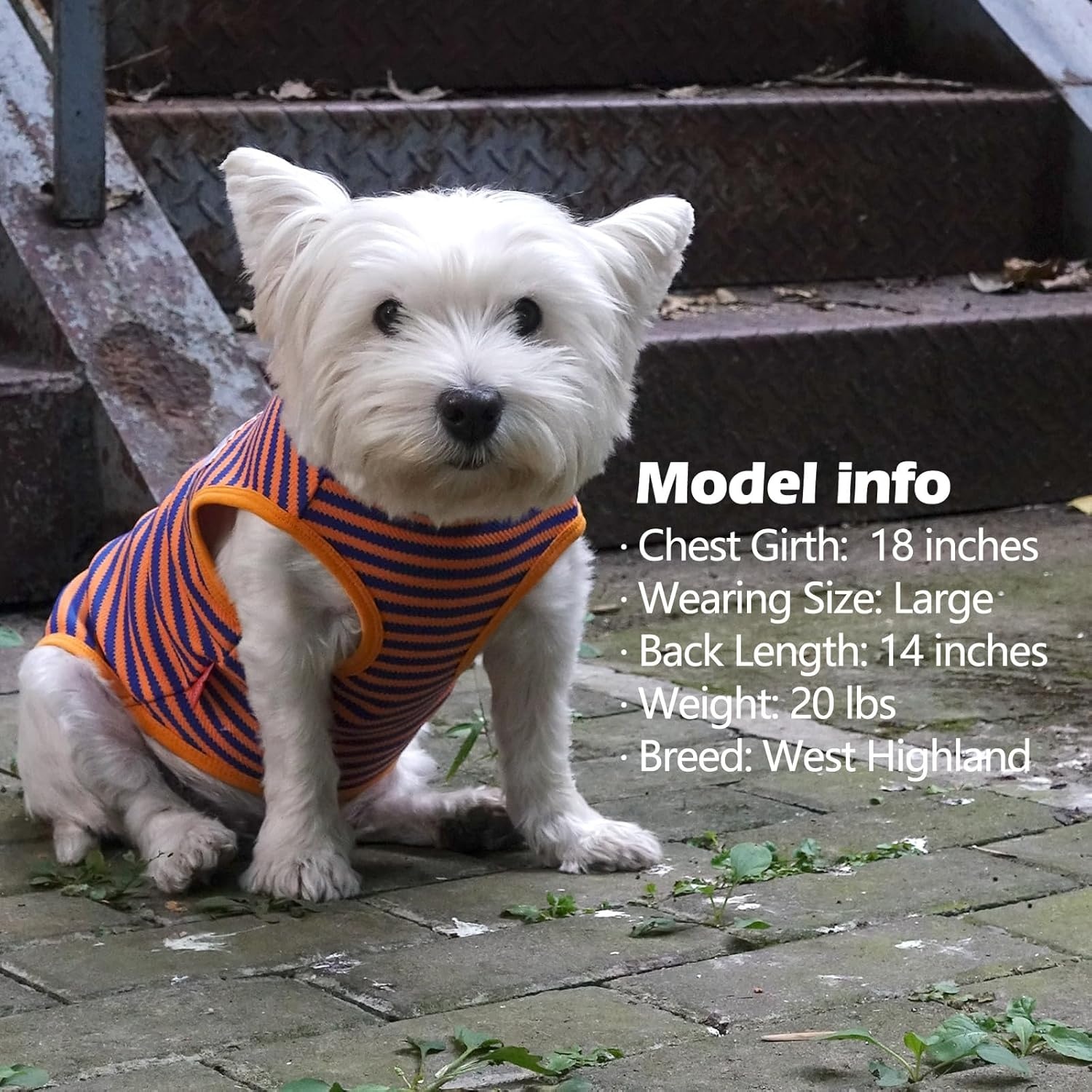 image:imageKYEESE 2Pack Dog Shirt Soft Striped Dogs T Shirts Lightweight Doggie Tank Top Cat Clothes Sleeveless Dog Shirt for Small Dogs Stretchy Pet Vest Pink Medium10 OrangeGreen