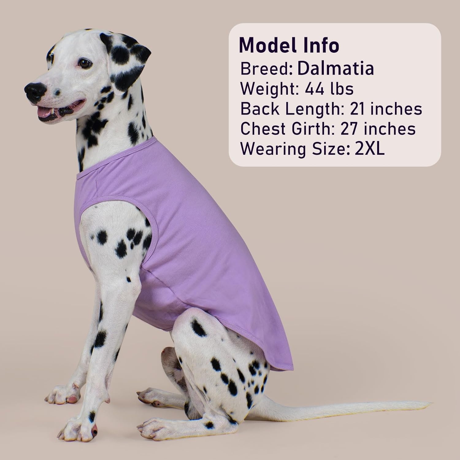 image:imageKYEESE 2Pack Dog Shirt Soft Striped Dogs T Shirts Lightweight Doggie Tank Top Cat Clothes Sleeveless Dog Shirt for Small Dogs Stretchy Pet Vest Pink Medium03 2Pack PurplePurple Striped