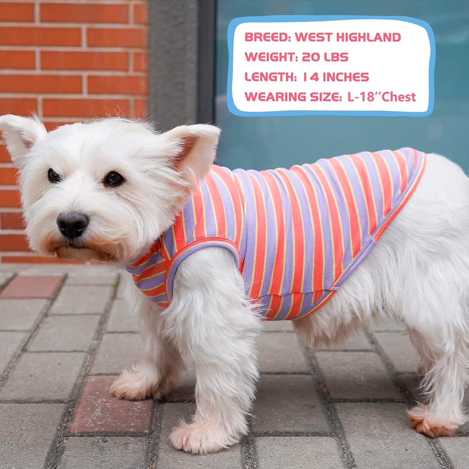 image:imageKYEESE 2Pack Dog Shirt Soft Striped Dogs T Shirts Lightweight Doggie Tank Top Cat Clothes Sleeveless Dog Shirt for Small Dogs Stretchy Pet Vest Pink Medium07 2Pack Orange StripedPurple