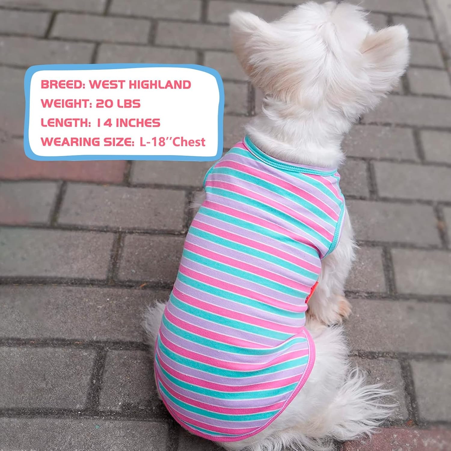 image:imageKYEESE 2Pack Dog Shirt Soft Striped Dogs T Shirts Lightweight Doggie Tank Top Cat Clothes Sleeveless Dog Shirt for Small Dogs Stretchy Pet Vest Pink Medium04 2Pack PurplePurple Striped