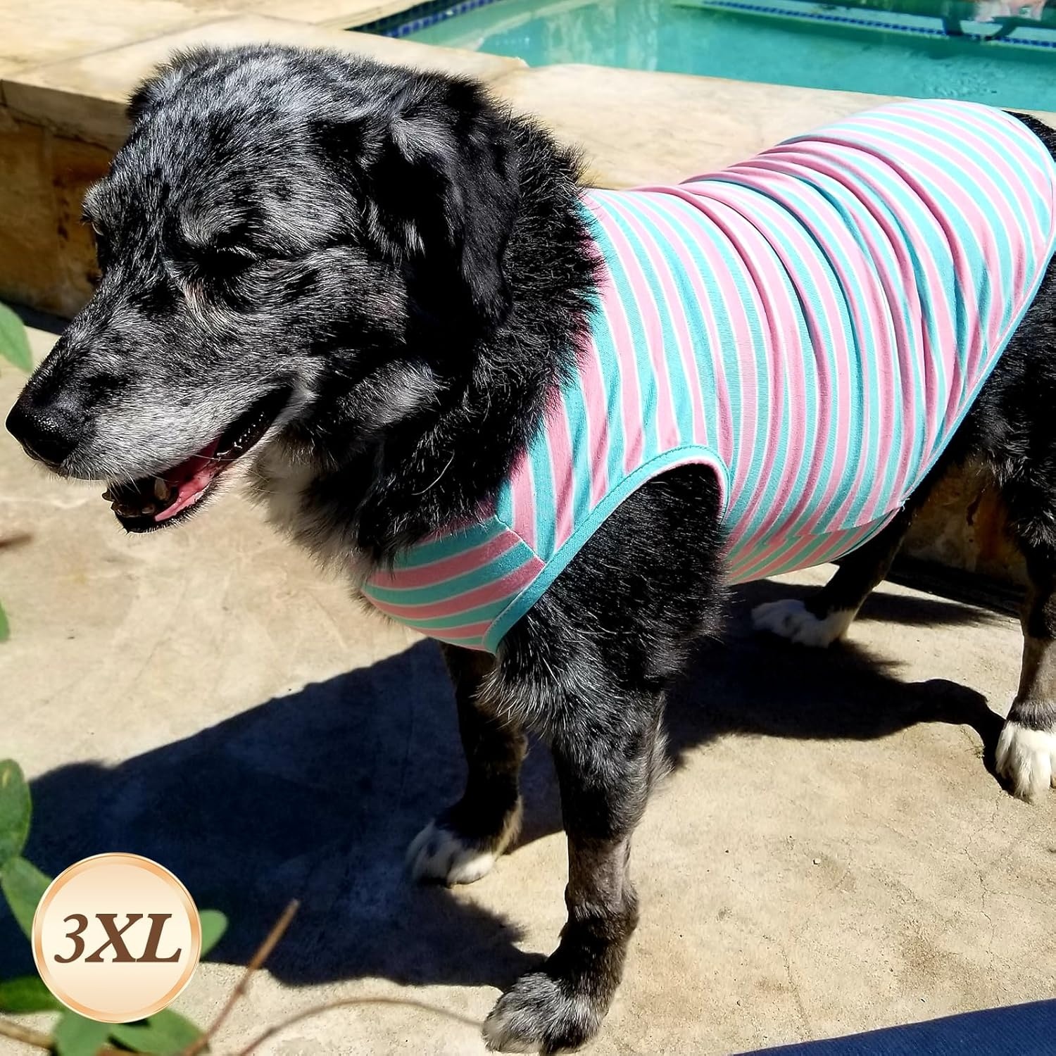 image:imageKYEESE 2Pack Dog Shirt Soft Striped Dogs T Shirts Lightweight Doggie Tank Top Cat Clothes Sleeveless Dog Shirt for Small Dogs Stretchy Pet Vest Pink Medium01 2Pack PinkStriped