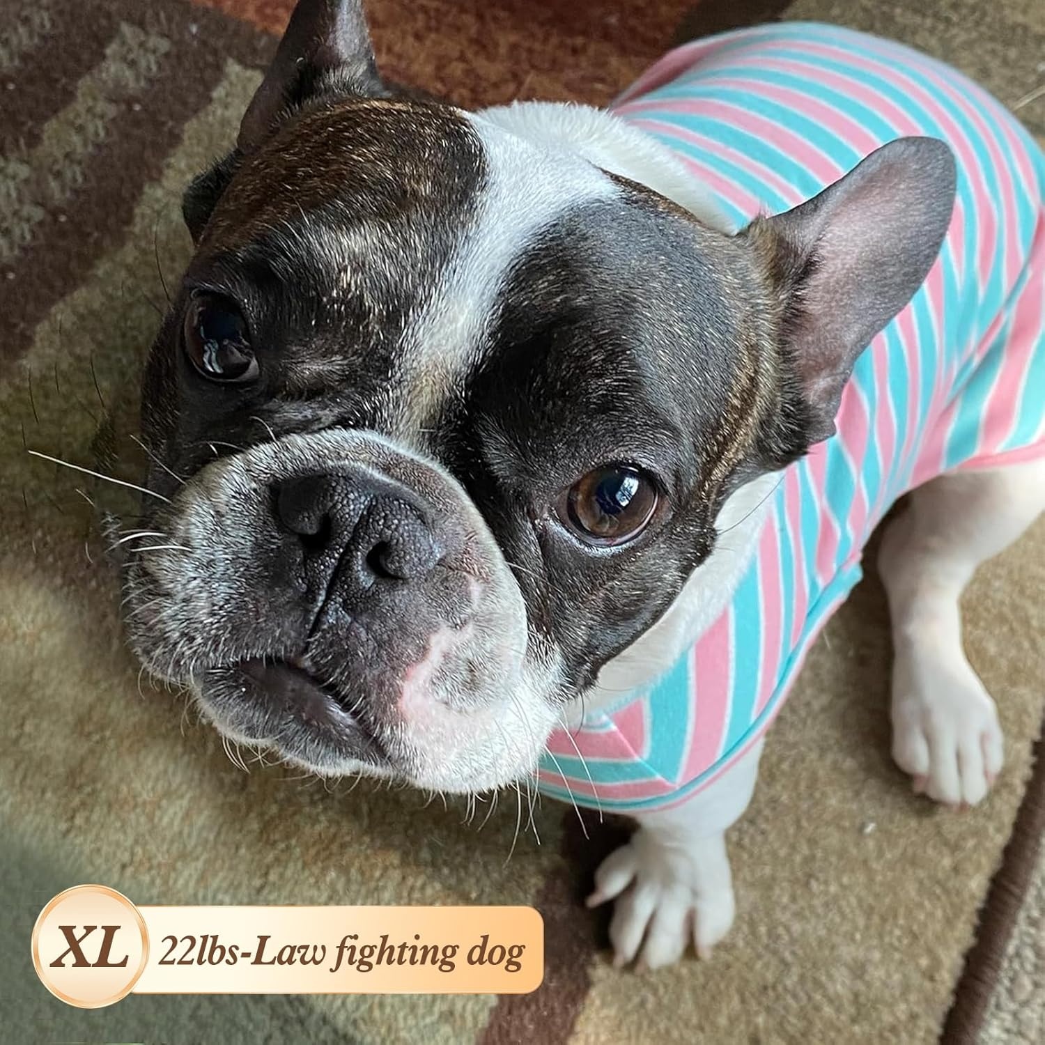 image:imageKYEESE 2Pack Dog Shirt Soft Striped Dogs T Shirts Lightweight Doggie Tank Top Cat Clothes Sleeveless Dog Shirt for Small Dogs Stretchy Pet Vest Pink Medium05 2Pack GreenStriped