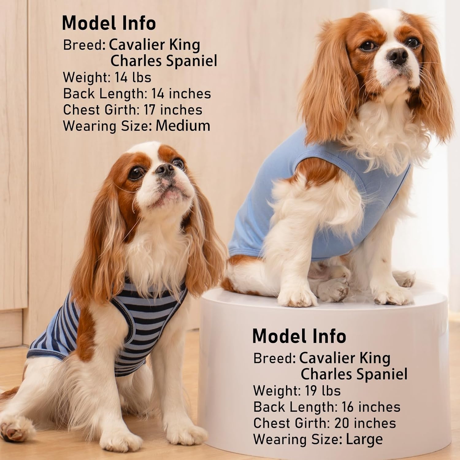 image:imageKYEESE 2Pack Dog Shirt Soft Striped Dogs T Shirts Lightweight Doggie Tank Top Cat Clothes Sleeveless Dog Shirt for Small Dogs Stretchy Pet Vest Pink Medium02 2Pack Dark BlueStriped