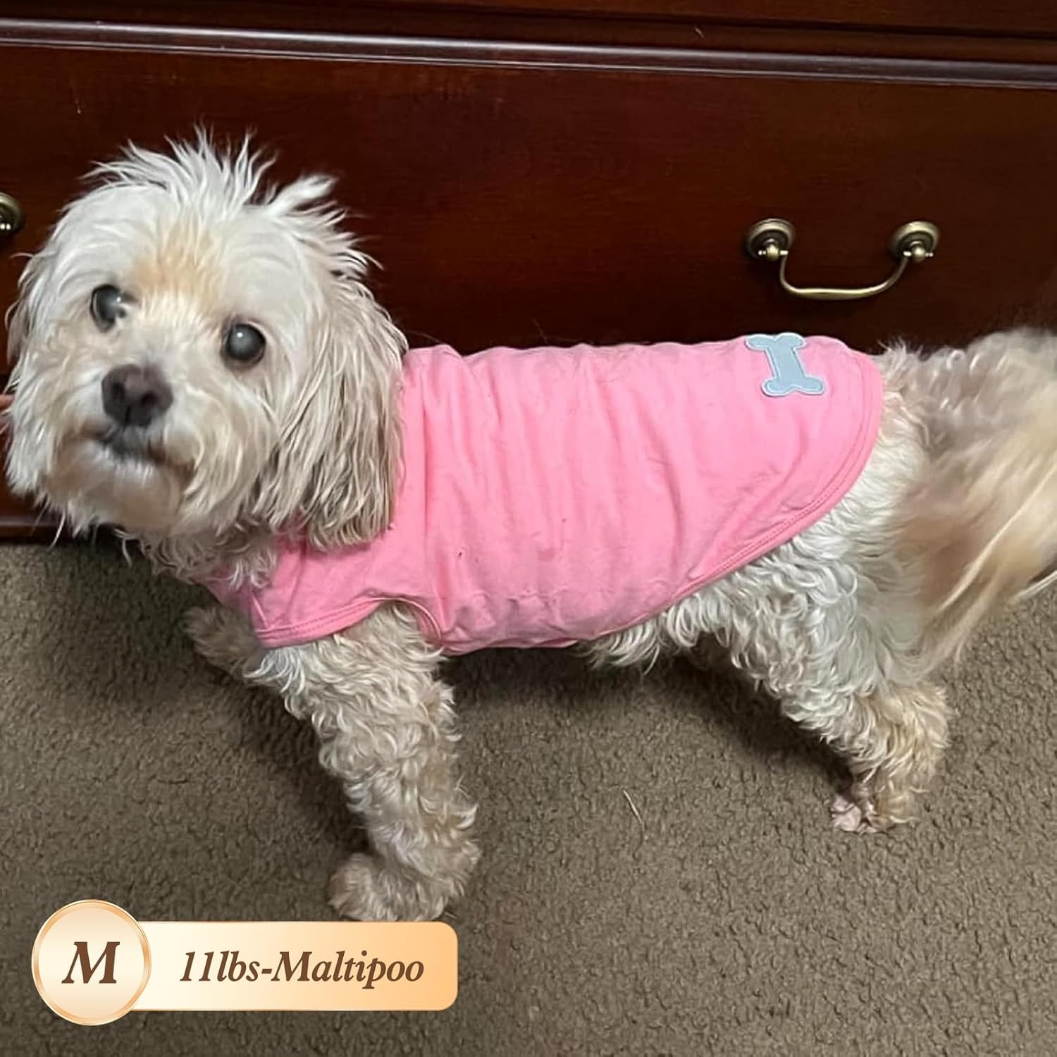 image:imageKYEESE 2Pack Dog Shirt Soft Striped Dogs T Shirts Lightweight Doggie Tank Top Cat Clothes Sleeveless Dog Shirt for Small Dogs Stretchy Pet Vest Pink Medium05 2Pack GreenStriped
