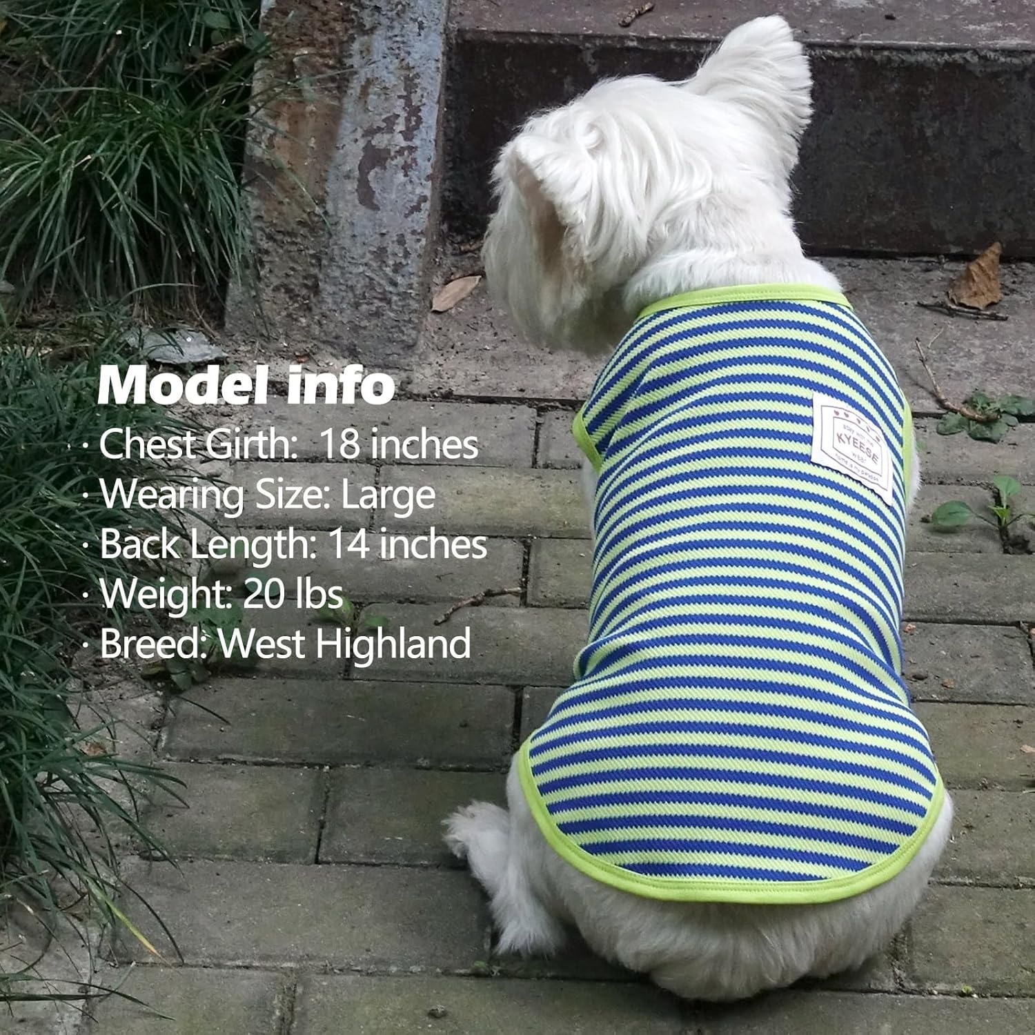 image:imageKYEESE 2Pack Dog Shirt Soft Striped Dogs T Shirts Lightweight Doggie Tank Top Cat Clothes Sleeveless Dog Shirt for Small Dogs Stretchy Pet Vest Pink Medium10 OrangeGreen