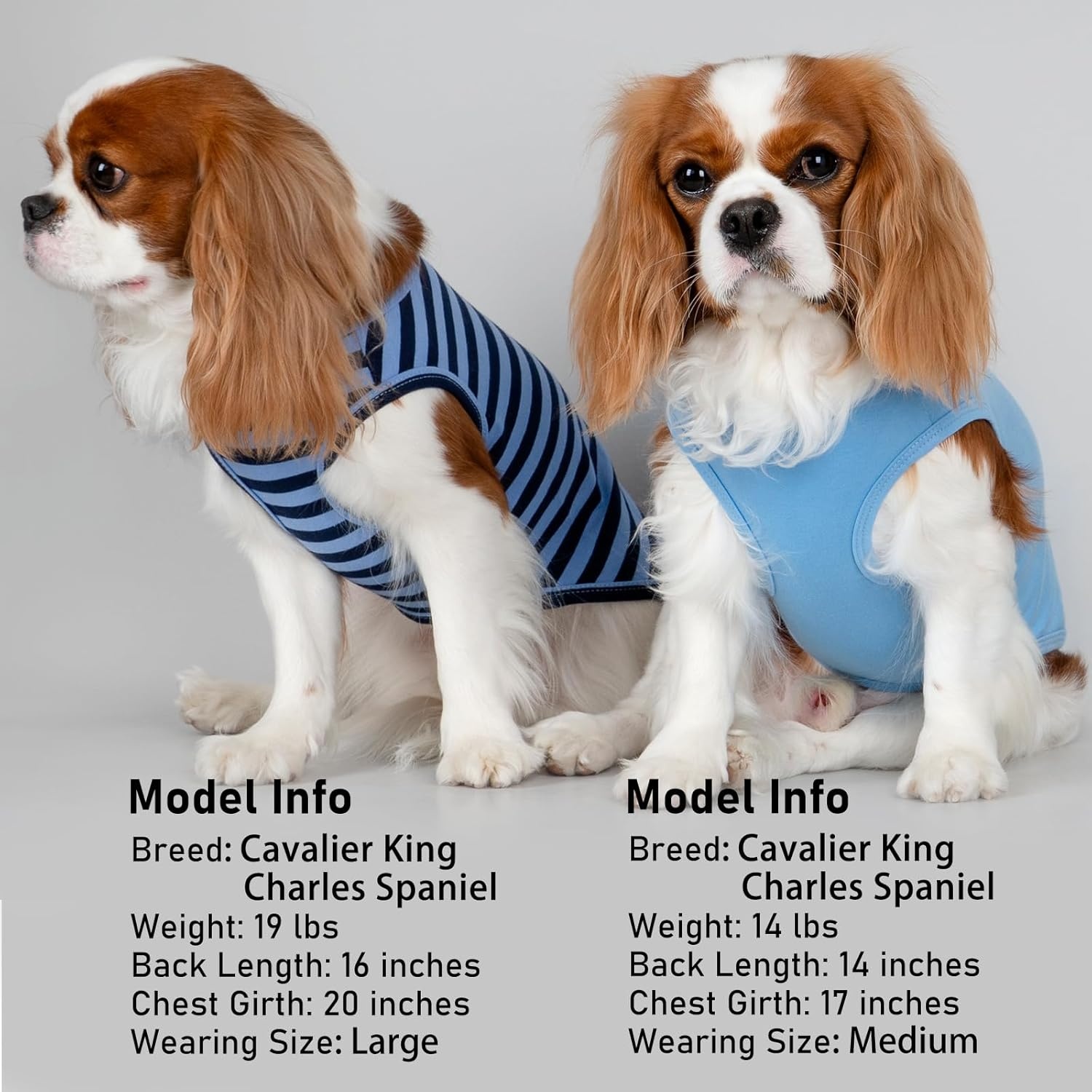 image:imageKYEESE 2Pack Dog Shirt Soft Striped Dogs T Shirts Lightweight Doggie Tank Top Cat Clothes Sleeveless Dog Shirt for Small Dogs Stretchy Pet Vest Pink Medium02 2Pack Dark BlueStriped