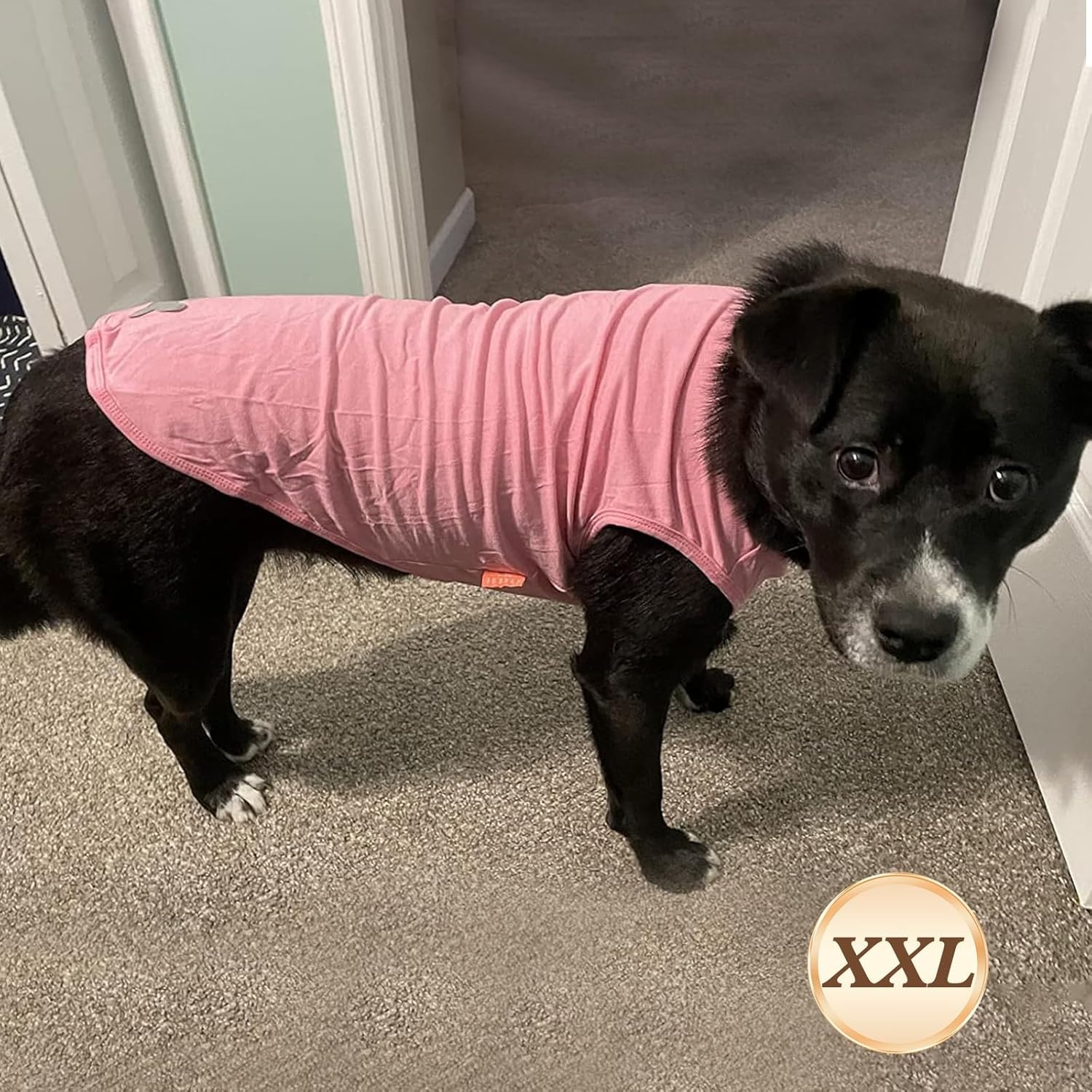 image:imageKYEESE 2Pack Dog Shirt Soft Striped Dogs T Shirts Lightweight Doggie Tank Top Cat Clothes Sleeveless Dog Shirt for Small Dogs Stretchy Pet Vest Pink Medium01 2Pack PinkStriped