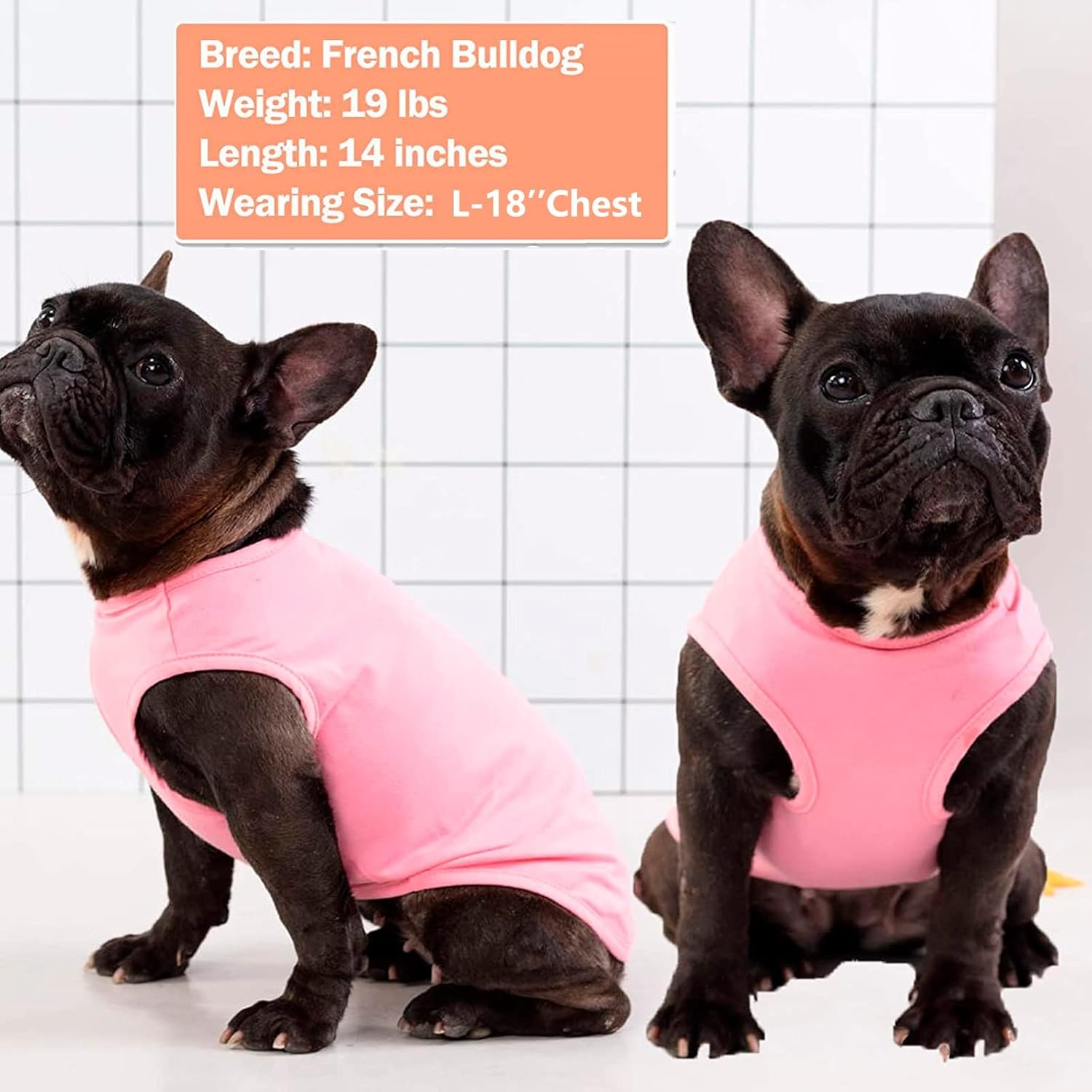 image:imageKYEESE 2Pack Dog Shirt Soft Striped Dogs T Shirts Lightweight Doggie Tank Top Cat Clothes Sleeveless Dog Shirt for Small Dogs Stretchy Pet Vest Pink Medium01 2Pack PinkStriped