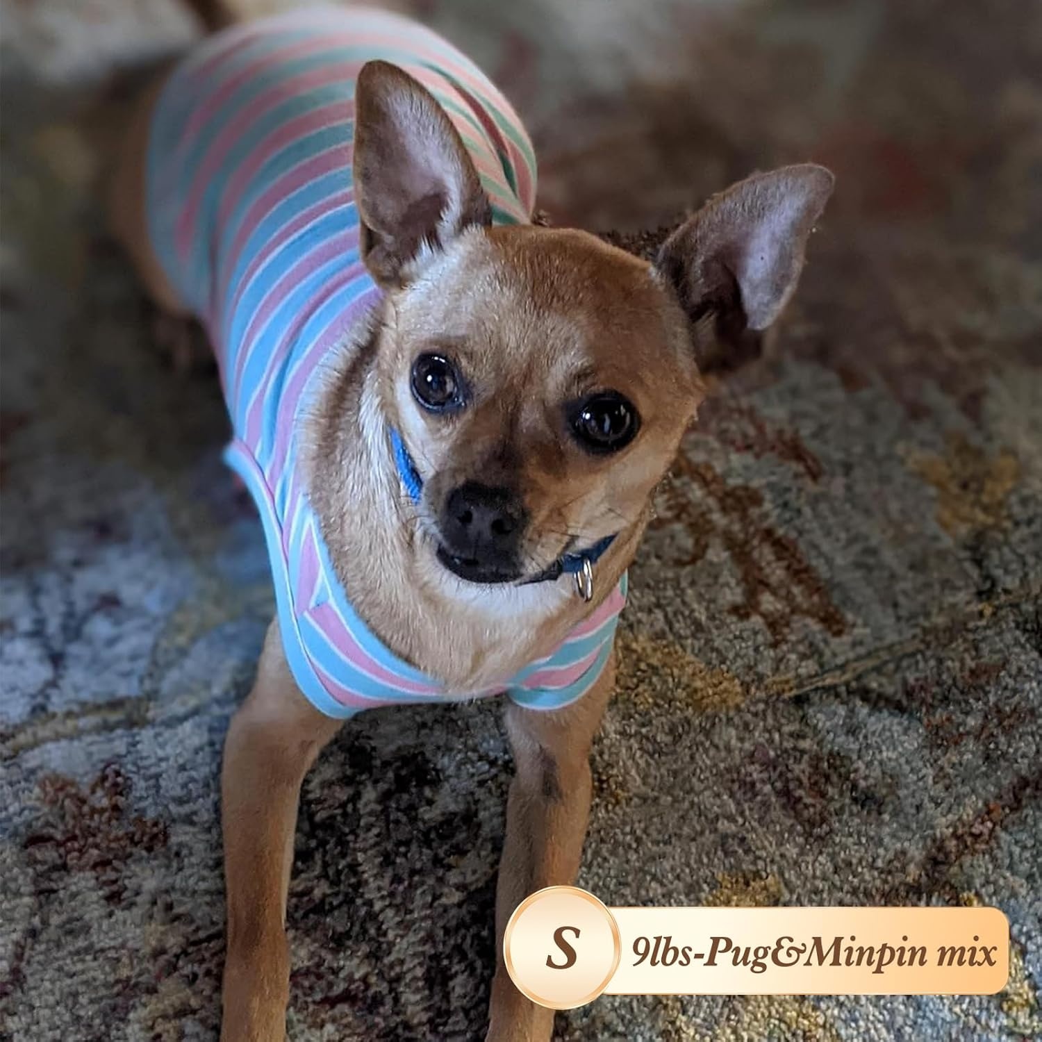 image:imageKYEESE 2Pack Dog Shirt Soft Striped Dogs T Shirts Lightweight Doggie Tank Top Cat Clothes Sleeveless Dog Shirt for Small Dogs Stretchy Pet Vest Pink Medium05 2Pack GreenStriped