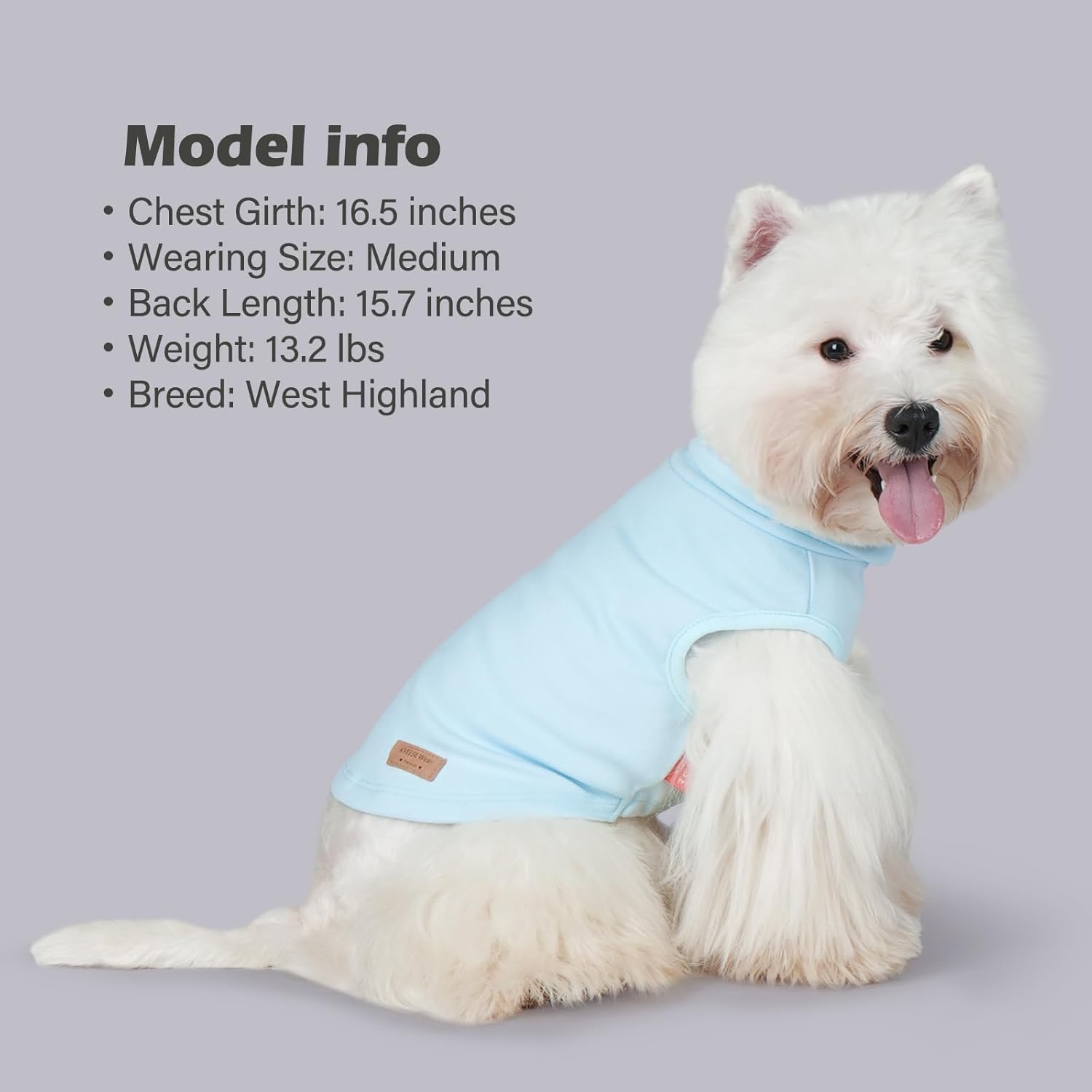 image:imageKYEESE 2Pack Dog Sweater Pullover Pet Sweatshirt Stretchy Dogs Clothes Soft Pets Clothes Warm Doggie Coats Turtleneck Small Pets Sweaters Dog Sweaters for Small Dogs Male6 Stripeblue