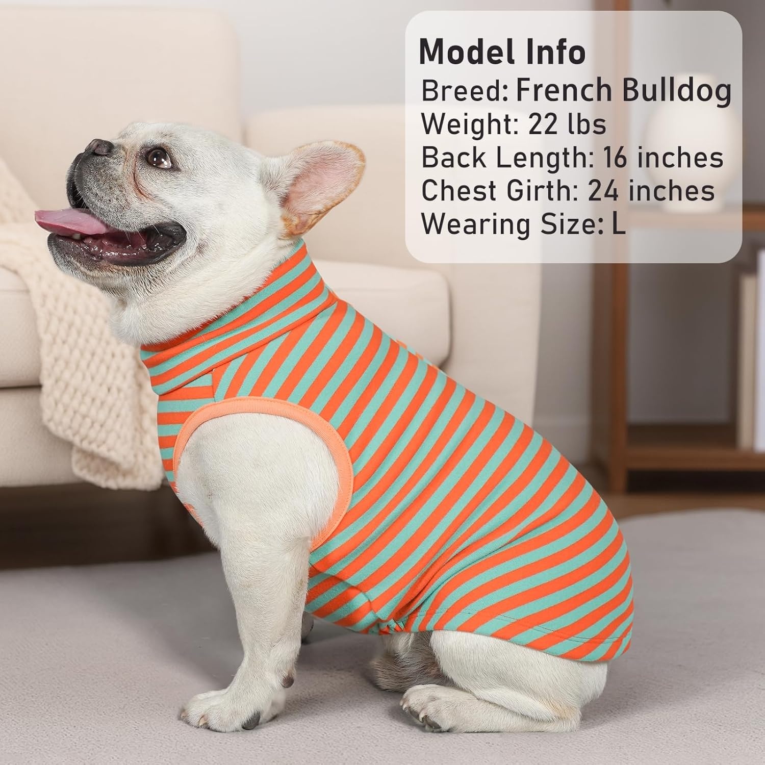 image:imageKYEESE 2Pack Dog Sweater Pullover Pet Sweatshirt Stretchy Dogs Clothes Soft Pets Clothes Warm Doggie Coats Turtleneck Small Pets Sweaters Dog Sweaters for Small Dogs Male5 StripeOrange