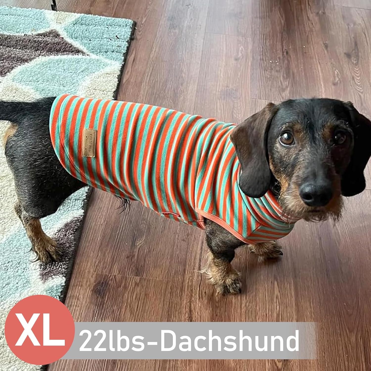 image:imageKYEESE 2Pack Dog Sweater Pullover Pet Sweatshirt Stretchy Dogs Clothes Soft Pets Clothes Warm Doggie Coats Turtleneck Small Pets Sweaters Dog Sweaters for Small Dogs Male5 StripeOrange