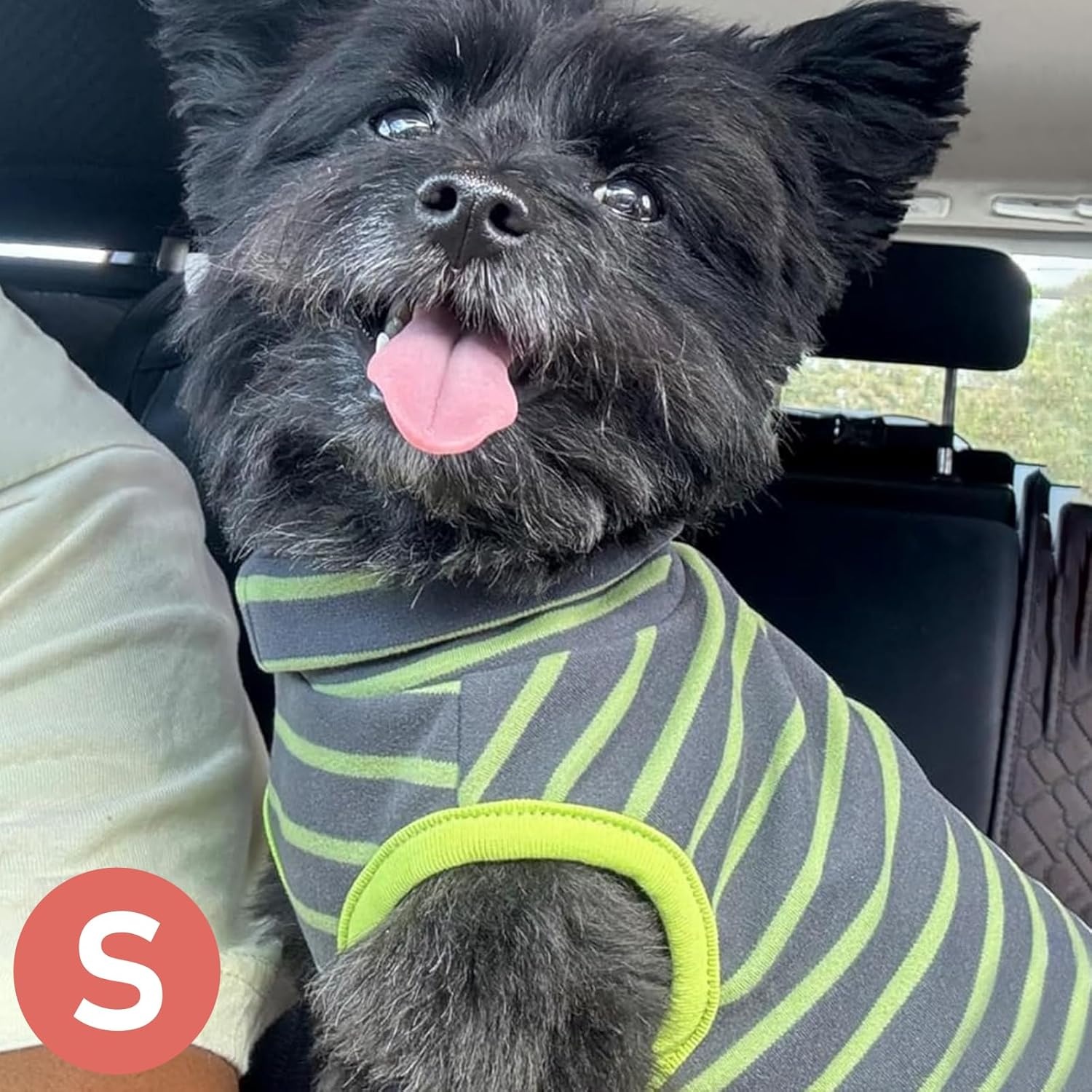 image:imageKYEESE 2Pack Dog Sweater Pullover Pet Sweatshirt Stretchy Dogs Clothes Soft Pets Clothes Warm Doggie Coats Turtleneck Small Pets Sweaters Dog Sweaters for Small Dogs Male4 StripeGreen