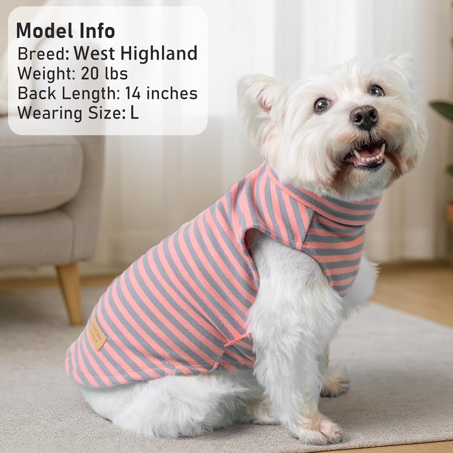 image:imageKYEESE 2Pack Dog Sweater Pullover Pet Sweatshirt Stretchy Dogs Clothes Soft Pets Clothes Warm Doggie Coats Turtleneck Small Pets Sweaters Dog Sweaters for Small Dogs Male3 StripeGrey