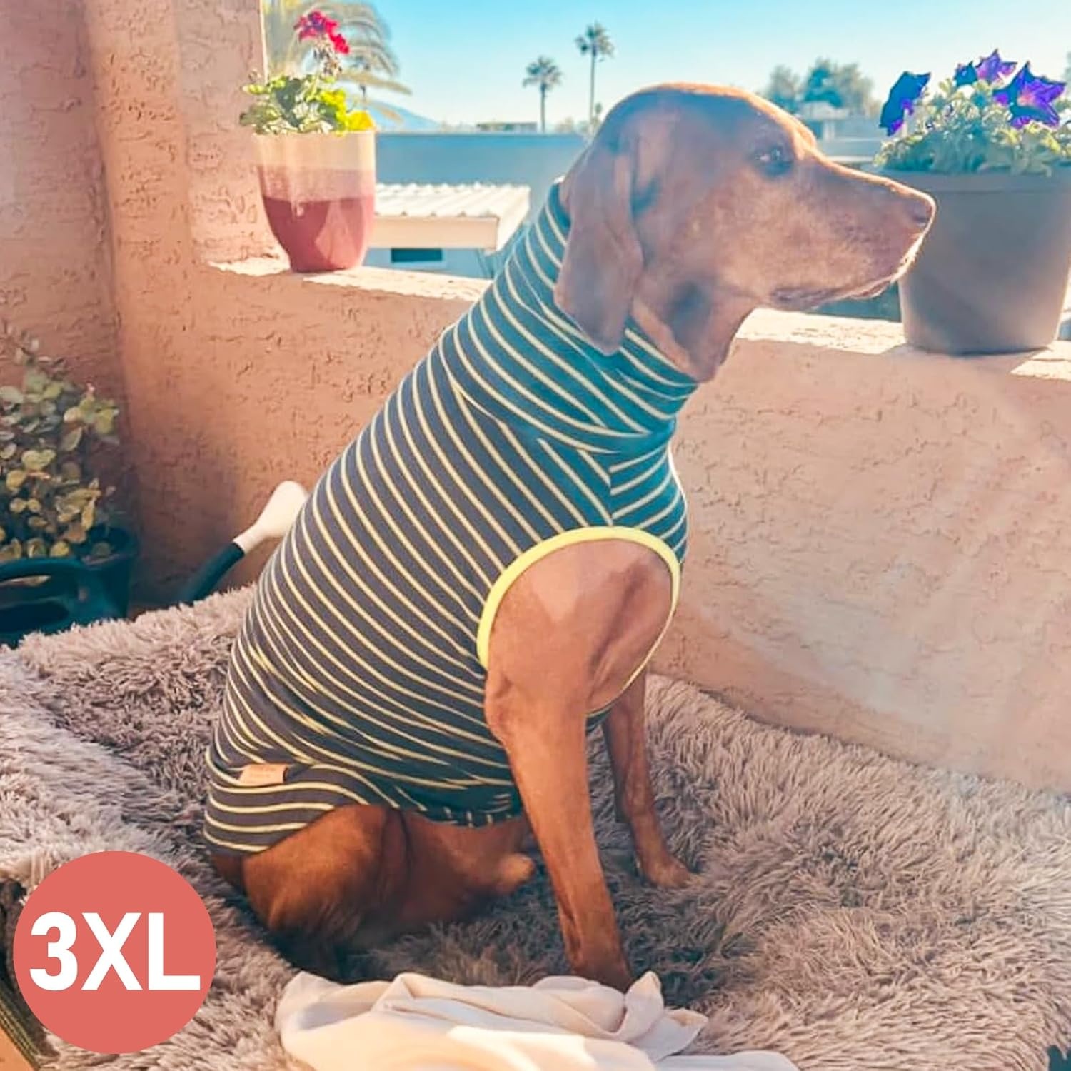 image:imageKYEESE 2Pack Dog Sweater Pullover Pet Sweatshirt Stretchy Dogs Clothes Soft Pets Clothes Warm Doggie Coats Turtleneck Small Pets Sweaters Dog Sweaters for Small Dogs Male4 StripeGreen