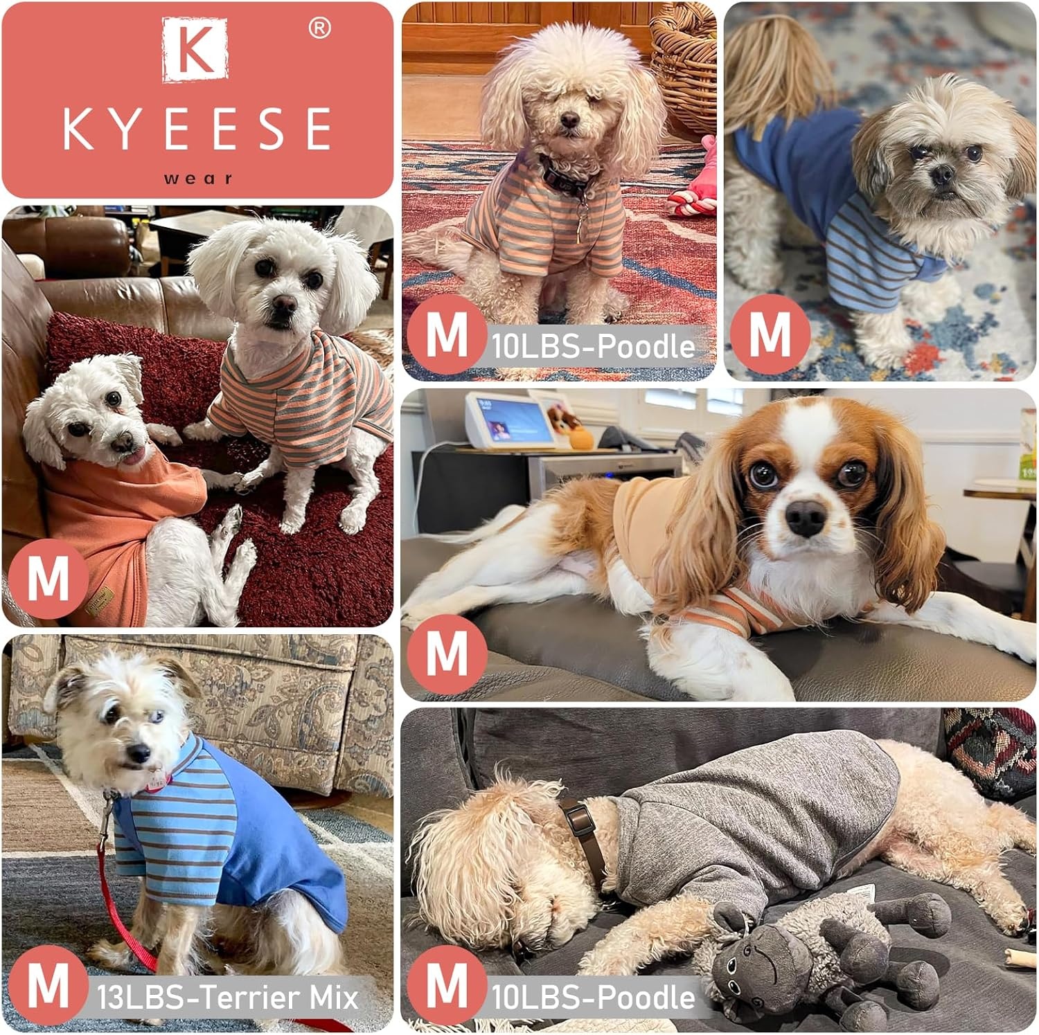 image:imageKYEESE 2Pack Dog Sweater Soft Puppy Sweatshirt Stretchy Pullover Dog Sweater for Small Dogs Girl Boy Lightweight Fleece Cat Shirt Pet Clothes with Sleeves M10 Pink
