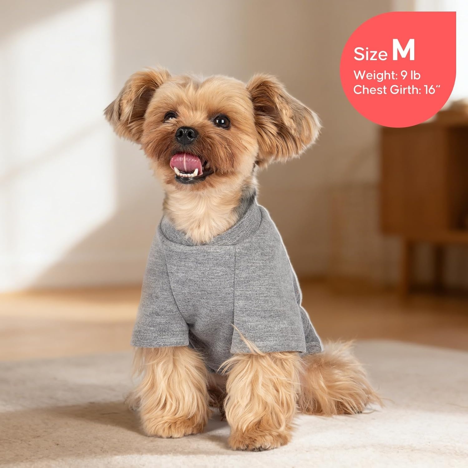 image:imageKYEESE 2Pack Dog Sweater Soft Puppy Sweatshirt Stretchy Pullover Dog Sweater for Small Dogs Girl Boy Lightweight Fleece Cat Shirt Pet Clothes with Sleeves M05 2Pack Grey