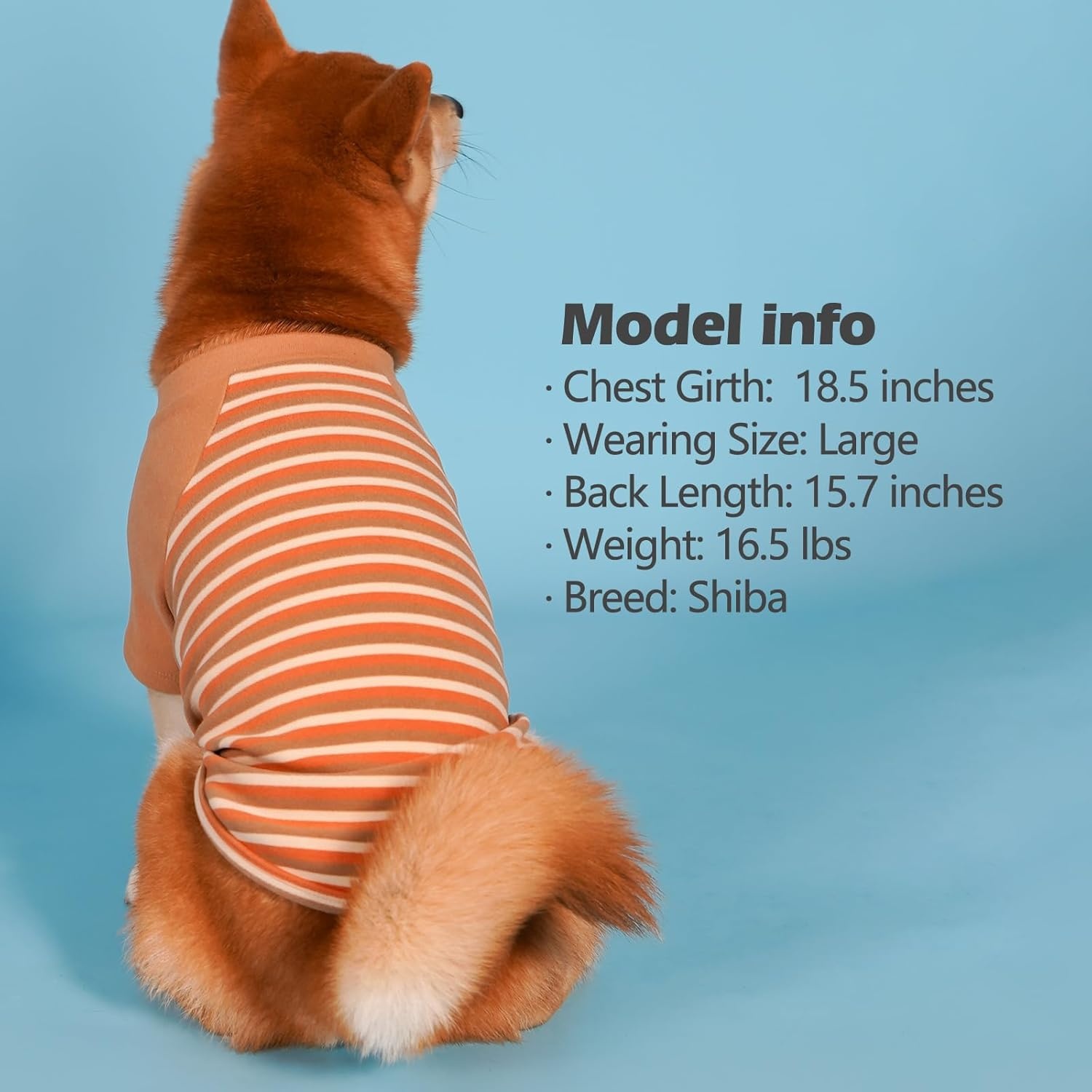 image:imageKYEESE 2Pack Dog Sweater Soft Puppy Sweatshirt Stretchy Pullover Dog Sweater for Small Dogs Girl Boy Lightweight Fleece Cat Shirt Pet Clothes with Sleeves M11 Khaki