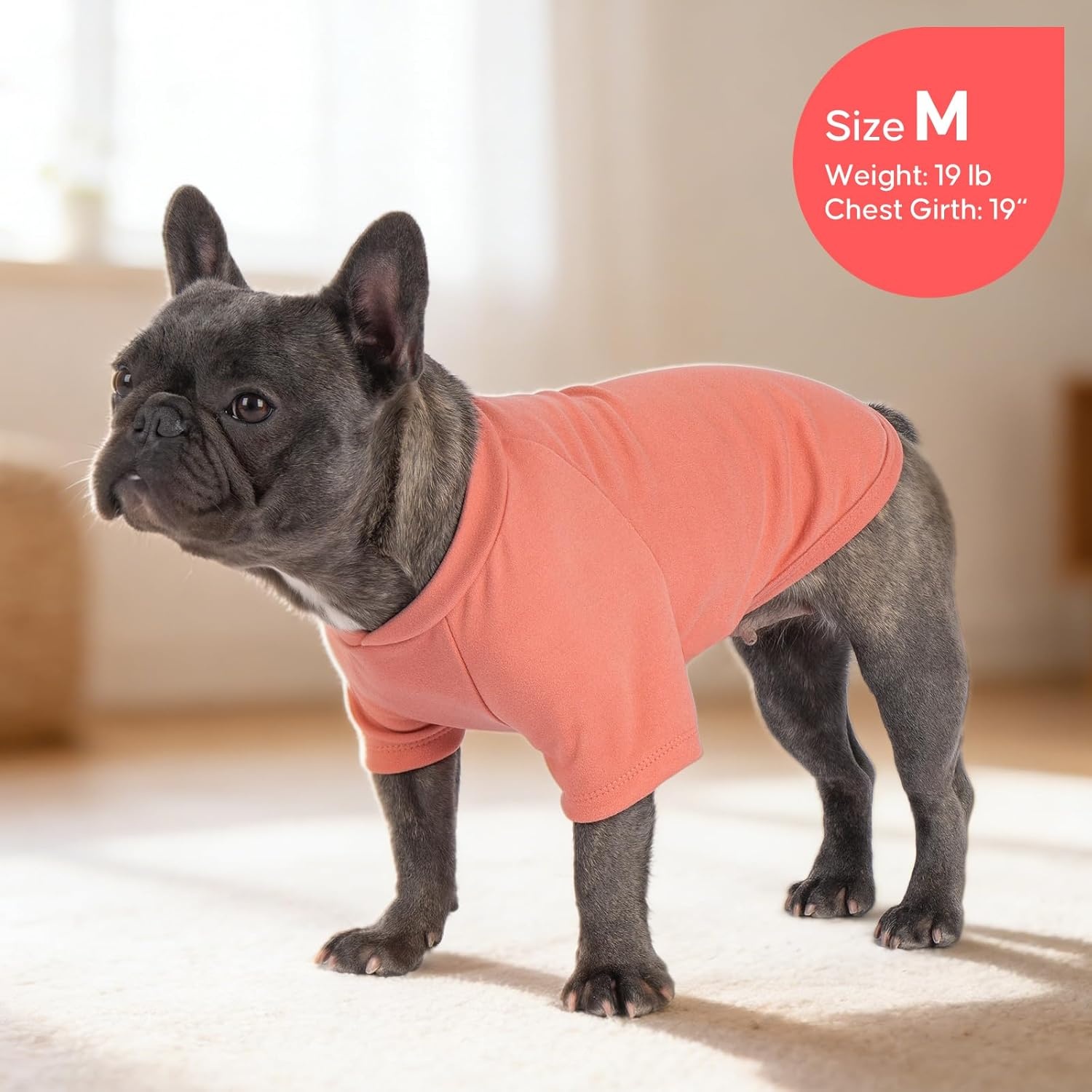 image:imageKYEESE 2Pack Dog Sweater Soft Puppy Sweatshirt Stretchy Pullover Dog Sweater for Small Dogs Girl Boy Lightweight Fleece Cat Shirt Pet Clothes with Sleeves M03 2PackOrangeStripe