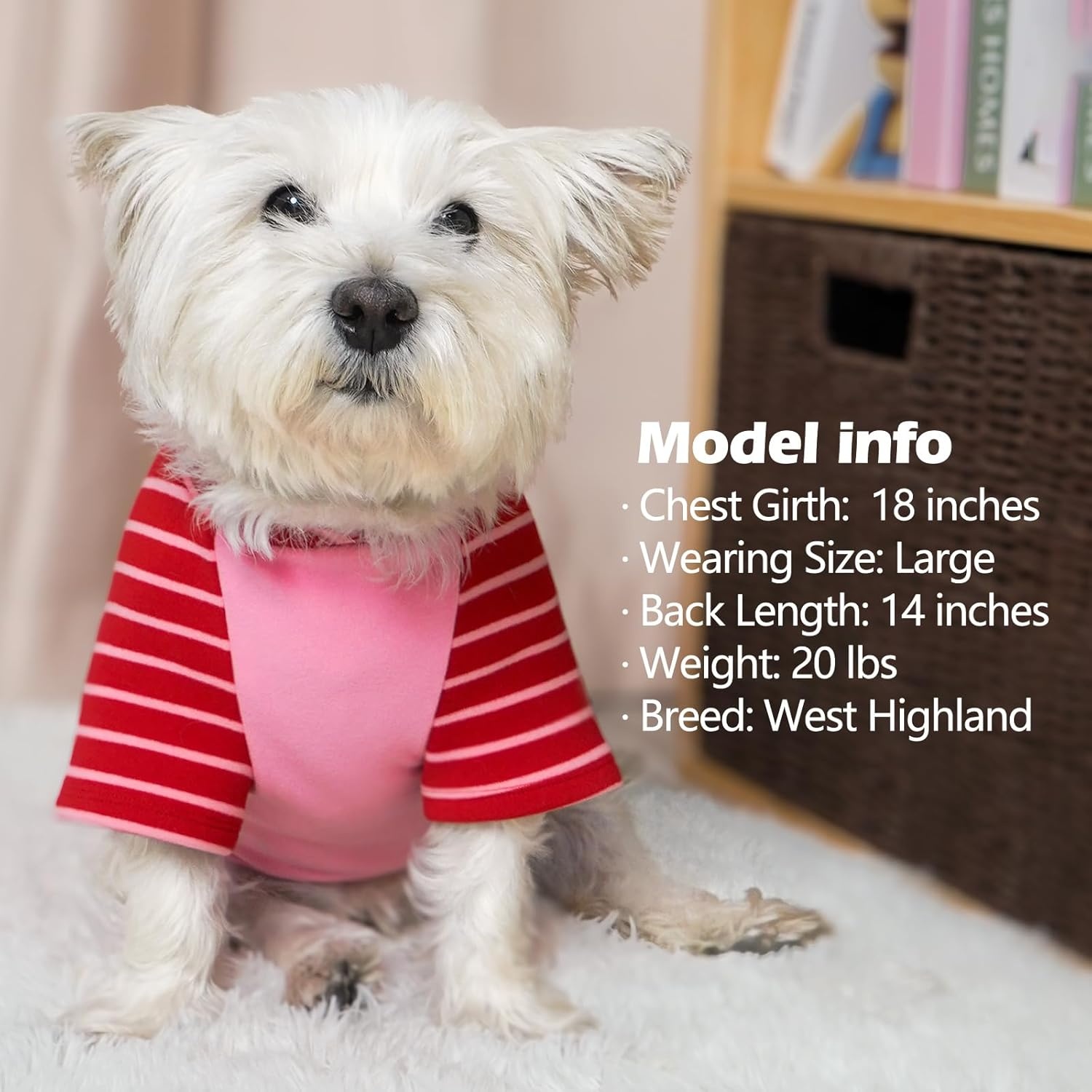 image:imageKYEESE 2Pack Dog Sweater Soft Puppy Sweatshirt Stretchy Pullover Dog Sweater for Small Dogs Girl Boy Lightweight Fleece Cat Shirt Pet Clothes with Sleeves M10 Pink