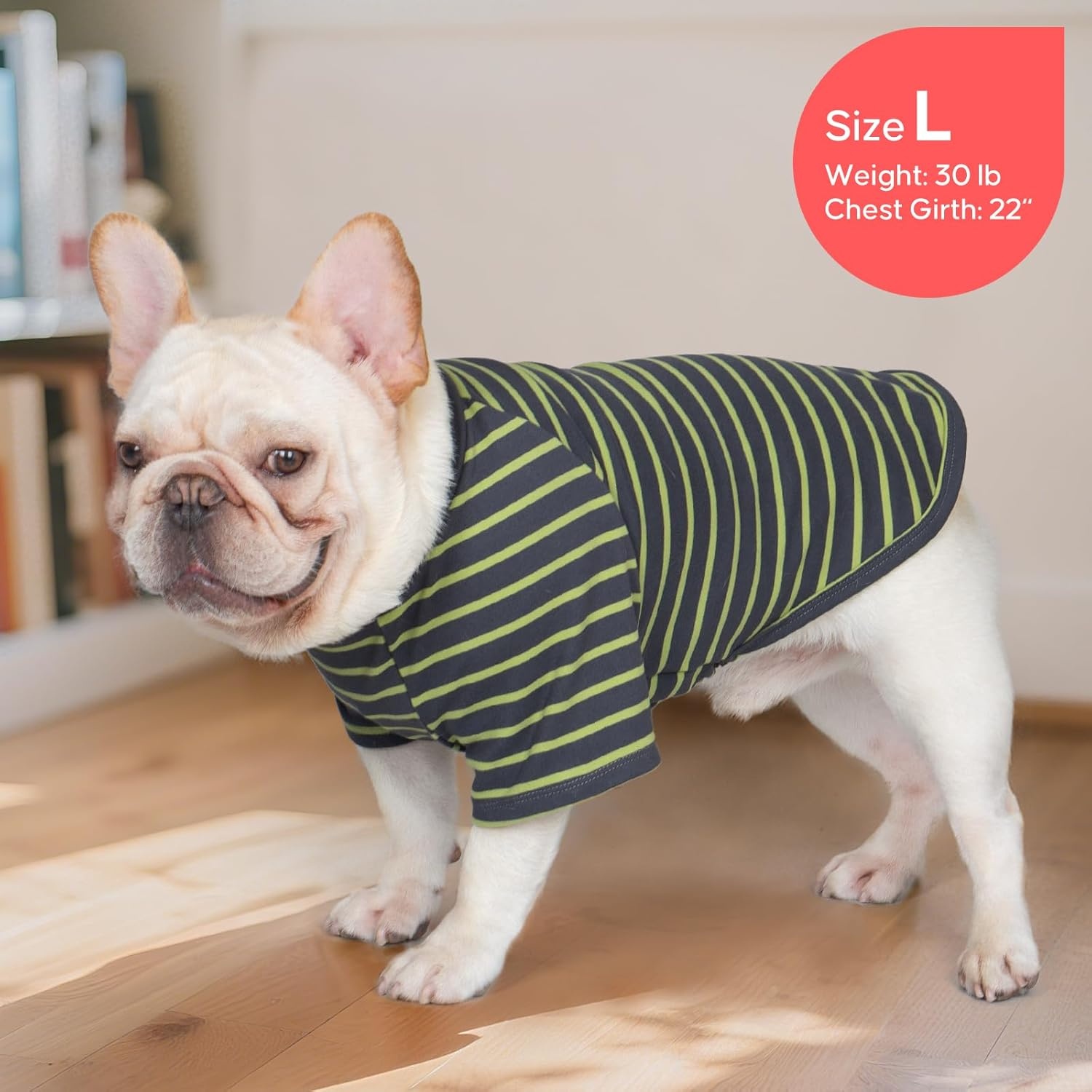 image:imageKYEESE 2Pack Dog Sweater Soft Puppy Sweatshirt Stretchy Pullover Dog Sweater for Small Dogs Girl Boy Lightweight Fleece Cat Shirt Pet Clothes with Sleeves M04 2PackGreenStripe