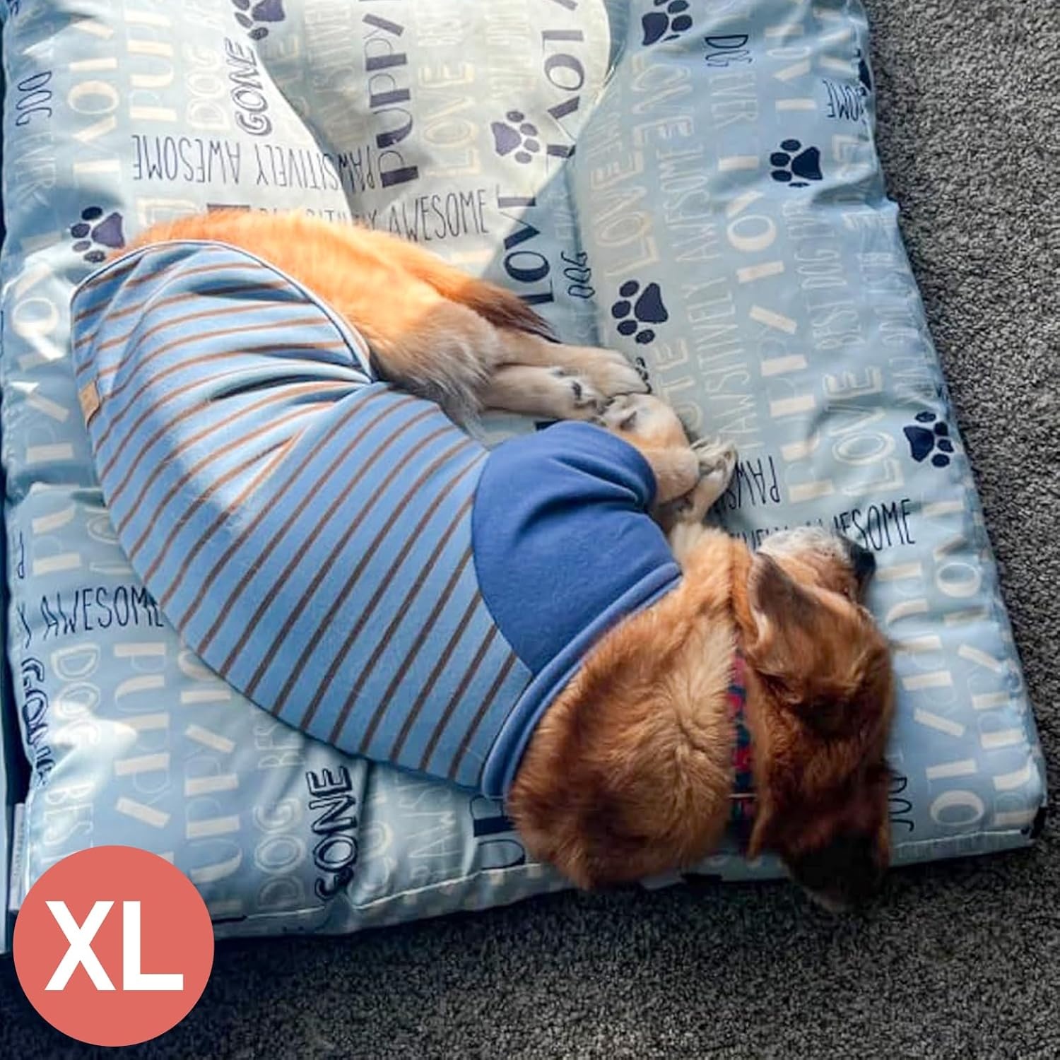 image:imageKYEESE 2Pack Dog Sweater Soft Puppy Sweatshirt Stretchy Pullover Dog Sweater for Small Dogs Girl Boy Lightweight Fleece Cat Shirt Pet Clothes with Sleeves M02 BlueStripe