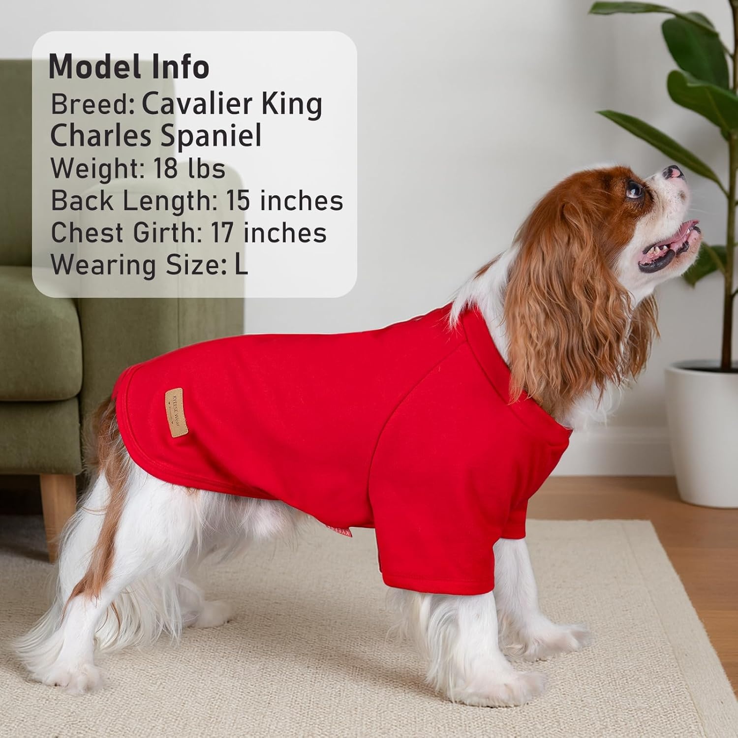 image:imageKYEESE 2Pack Dog Sweater Soft Puppy Sweatshirt Stretchy Pullover Dog Sweater for Small Dogs Girl Boy Lightweight Fleece Cat Shirt Pet Clothes with Sleeves M07 3PackRedPinkRed Stripe