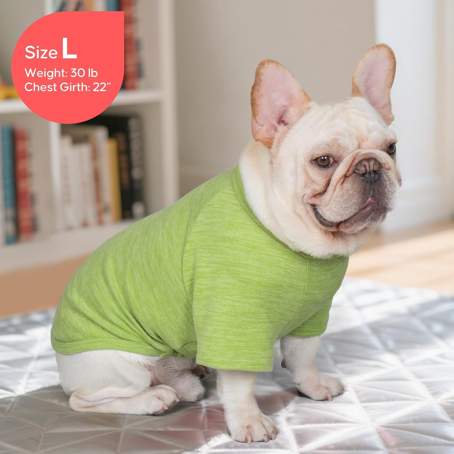 image:imageKYEESE 2Pack Dog Sweater Soft Puppy Sweatshirt Stretchy Pullover Dog Sweater for Small Dogs Girl Boy Lightweight Fleece Cat Shirt Pet Clothes with Sleeves M04 2PackGreenStripe