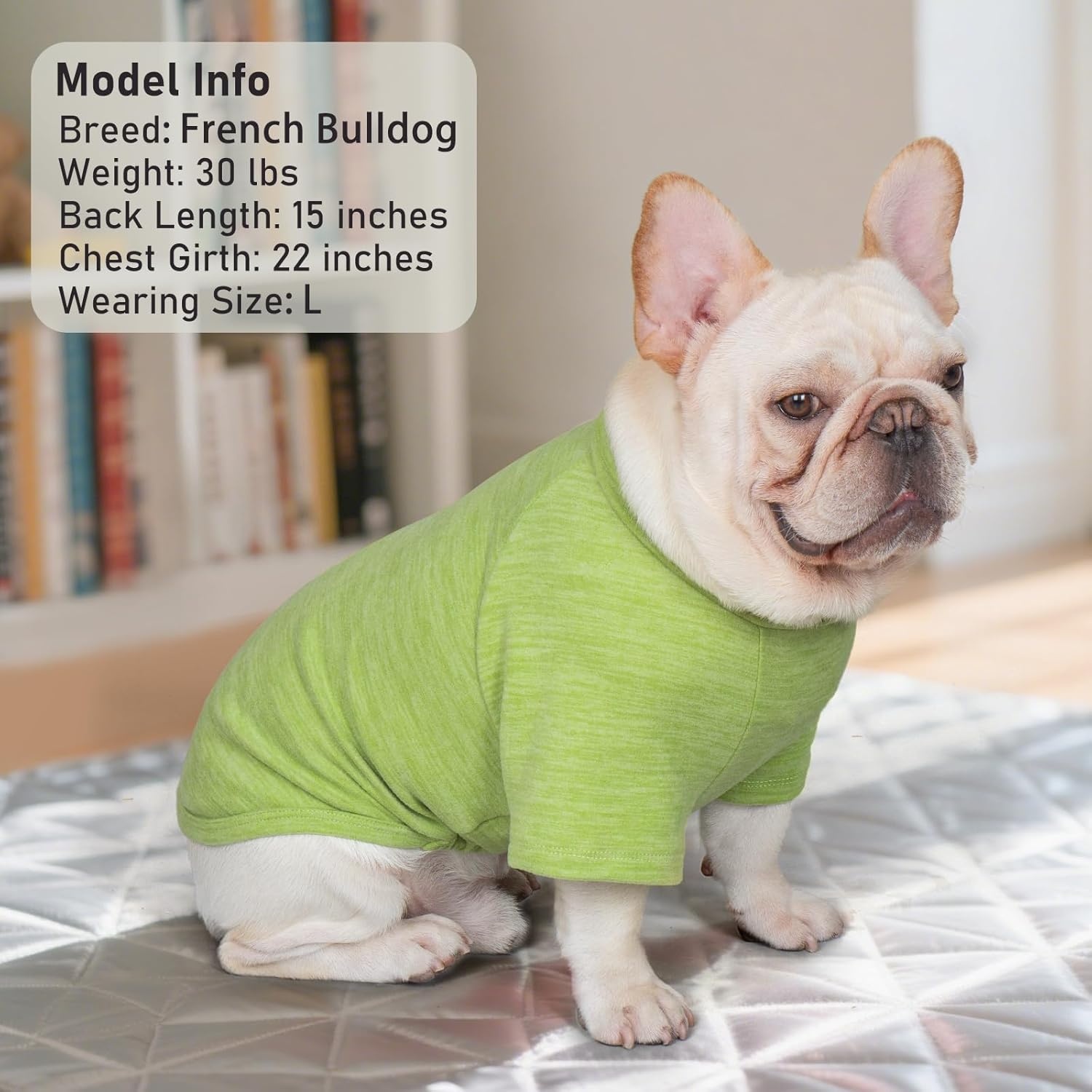 image:imageKYEESE 2Pack Dog Sweater Soft Puppy Sweatshirt Stretchy Pullover Dog Sweater for Small Dogs Girl Boy Lightweight Fleece Cat Shirt Pet Clothes with Sleeves M09 Green