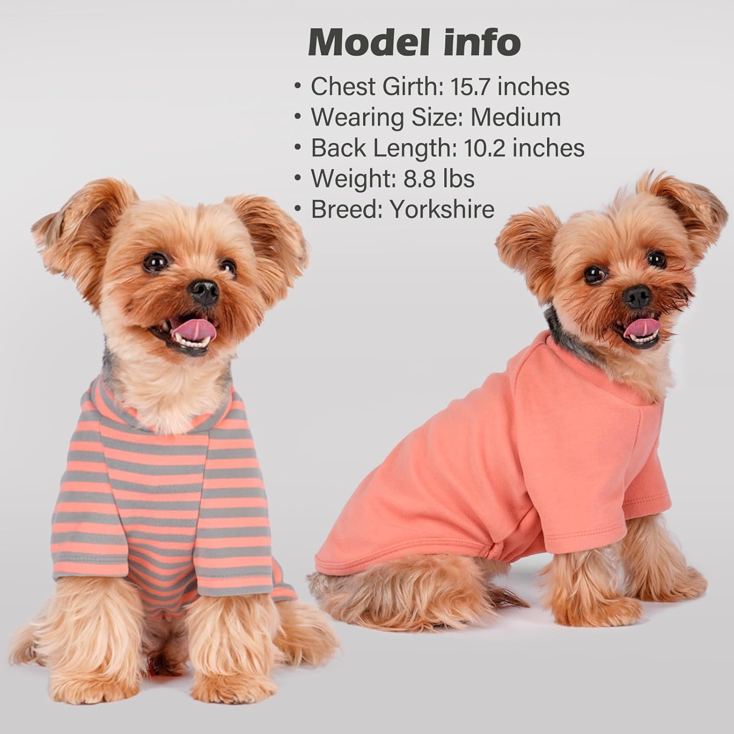 image:imageKYEESE 2Pack Dog Sweater Soft Puppy Sweatshirt Stretchy Pullover Dog Sweater for Small Dogs Girl Boy Lightweight Fleece Cat Shirt Pet Clothes with Sleeves M01 3PackOrangeGreyStripe