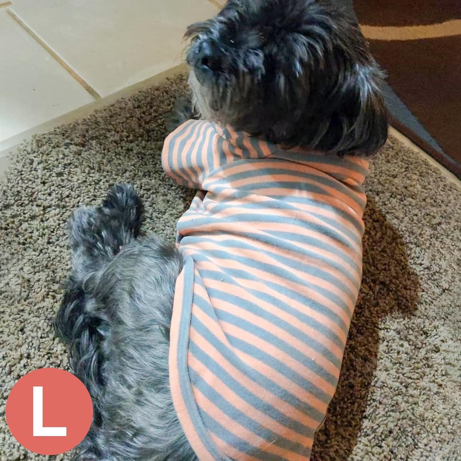 image:imageKYEESE 2Pack Dog Sweater Soft Puppy Sweatshirt Stretchy Pullover Dog Sweater for Small Dogs Girl Boy Lightweight Fleece Cat Shirt Pet Clothes with Sleeves M01 3PackOrangeGreyStripe