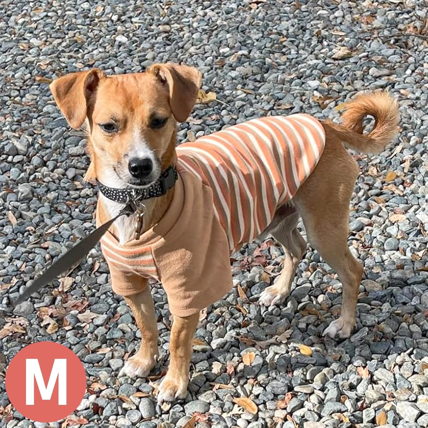 image:imageKYEESE 2Pack Dog Sweater Soft Puppy Sweatshirt Stretchy Pullover Dog Sweater for Small Dogs Girl Boy Lightweight Fleece Cat Shirt Pet Clothes with Sleeves M11 Khaki