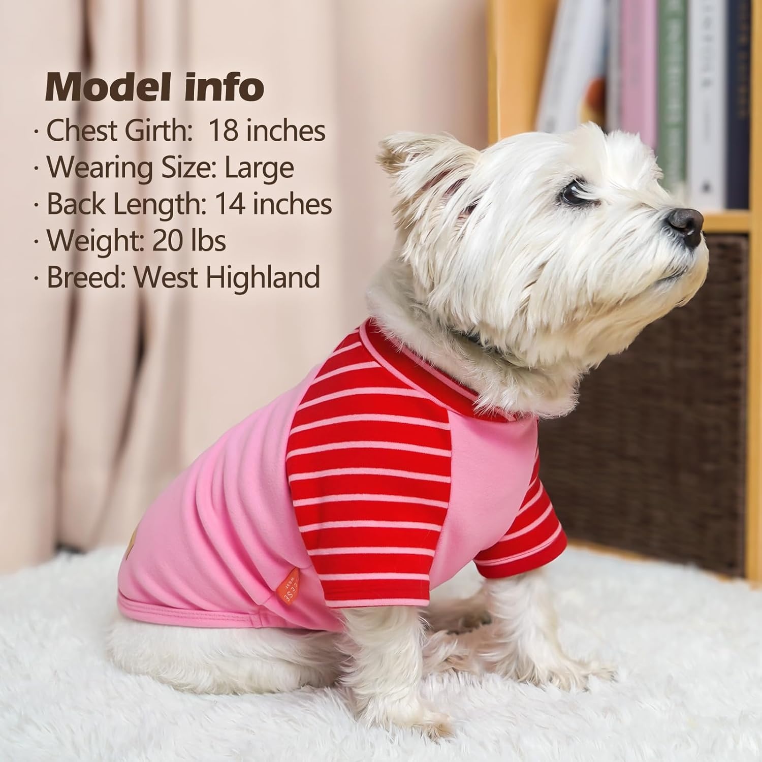 image:imageKYEESE 2Pack Dog Sweater Soft Puppy Sweatshirt Stretchy Pullover Dog Sweater for Small Dogs Girl Boy Lightweight Fleece Cat Shirt Pet Clothes with Sleeves M10 Pink