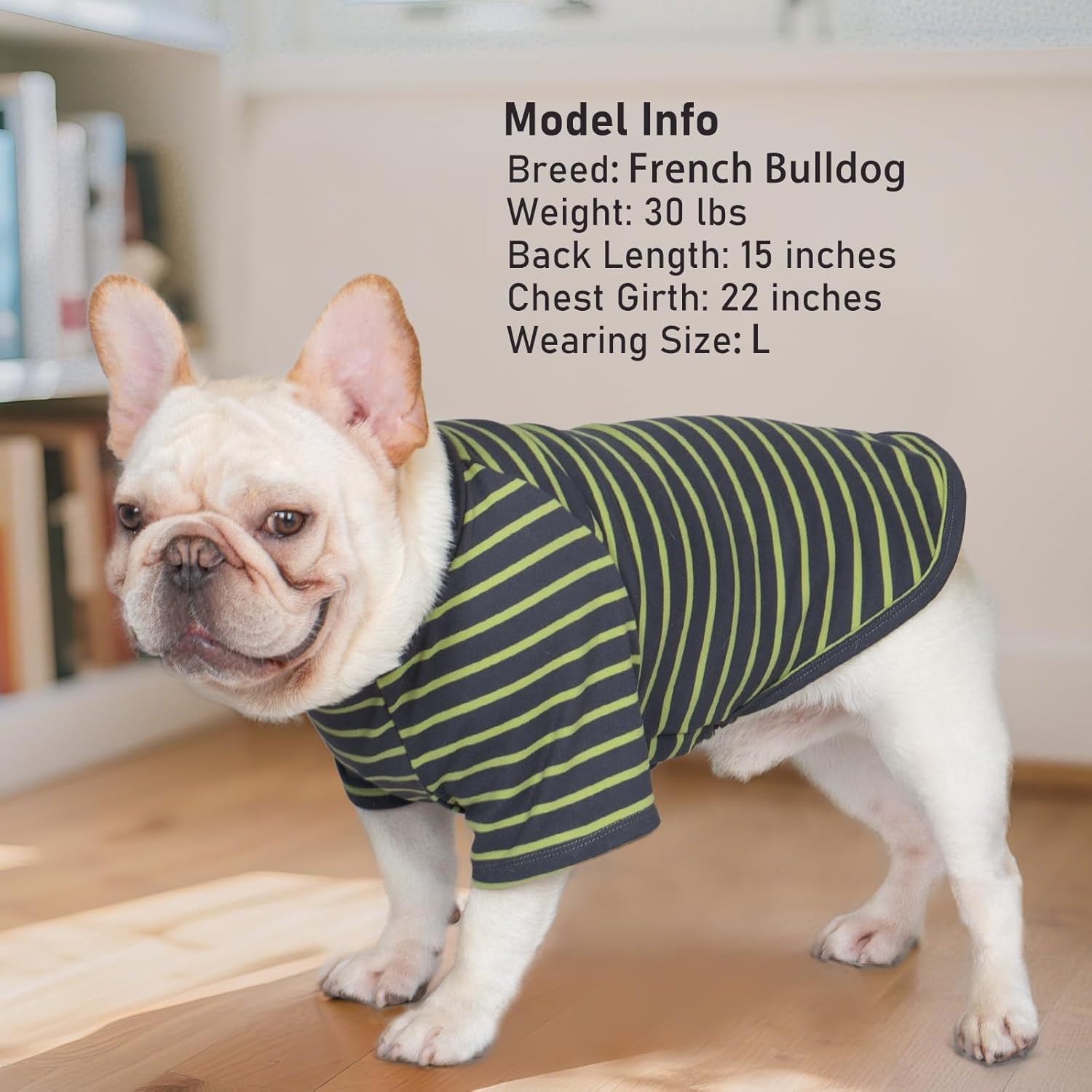 image:imageKYEESE 2Pack Dog Sweater Soft Puppy Sweatshirt Stretchy Pullover Dog Sweater for Small Dogs Girl Boy Lightweight Fleece Cat Shirt Pet Clothes with Sleeves M09 Green