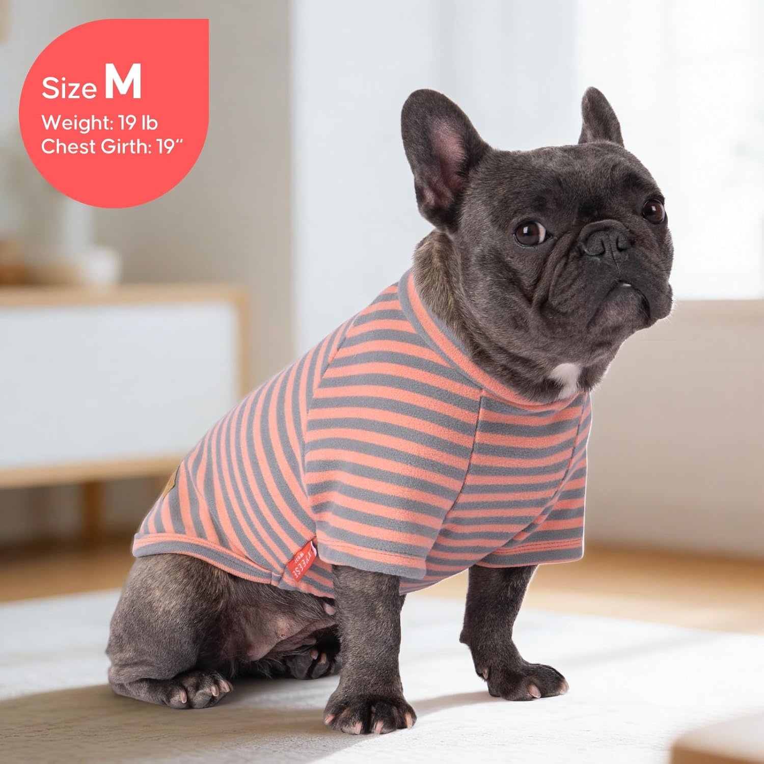 image:imageKYEESE 2Pack Dog Sweater Soft Puppy Sweatshirt Stretchy Pullover Dog Sweater for Small Dogs Girl Boy Lightweight Fleece Cat Shirt Pet Clothes with Sleeves M03 2PackOrangeStripe