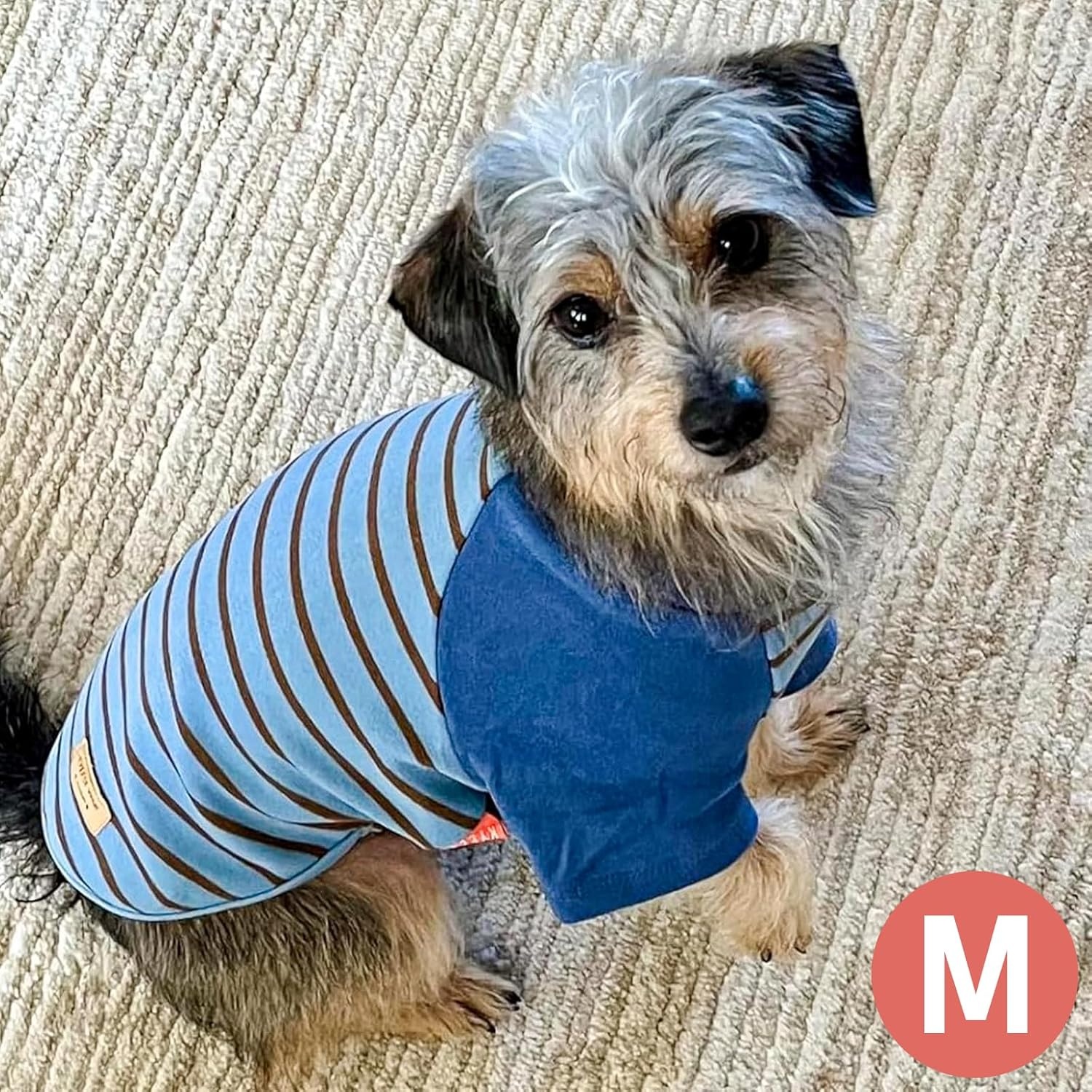 image:imageKYEESE 2Pack Dog Sweater Soft Puppy Sweatshirt Stretchy Pullover Dog Sweater for Small Dogs Girl Boy Lightweight Fleece Cat Shirt Pet Clothes with Sleeves M02 BlueStripe