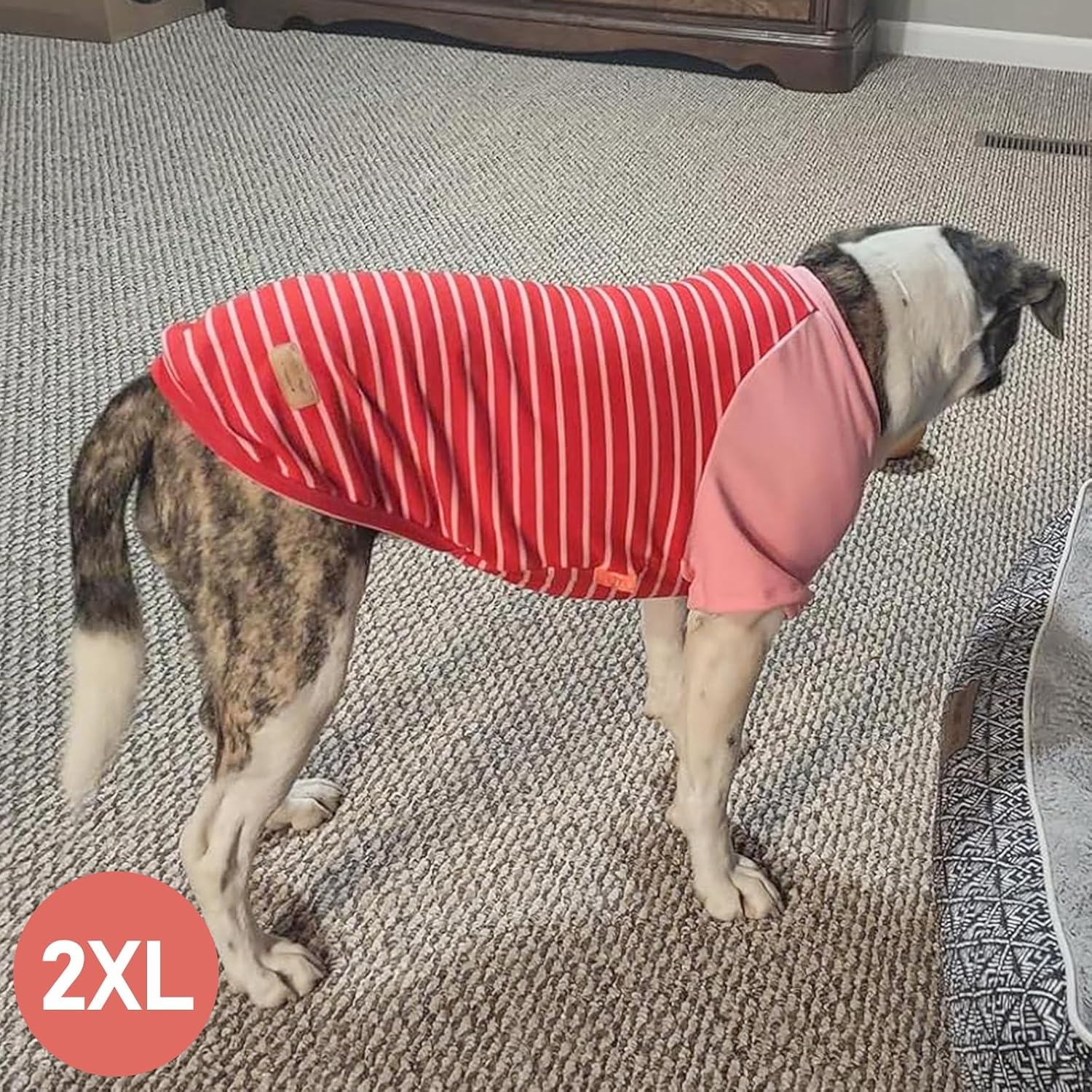 image:imageKYEESE 2Pack Dog Sweater Soft Puppy Sweatshirt Stretchy Pullover Dog Sweater for Small Dogs Girl Boy Lightweight Fleece Cat Shirt Pet Clothes with Sleeves M10 Pink