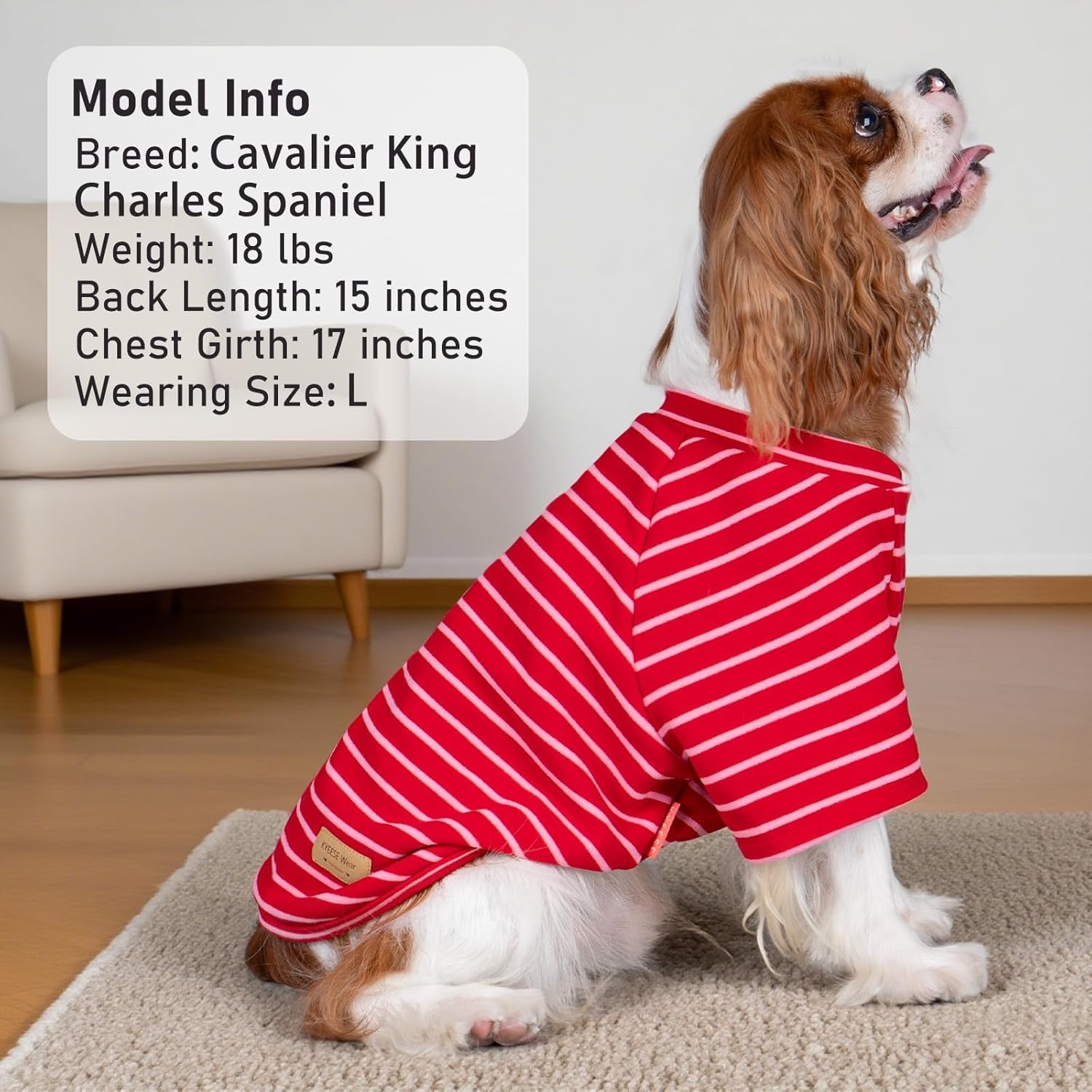 image:imageKYEESE 2Pack Dog Sweater Soft Puppy Sweatshirt Stretchy Pullover Dog Sweater for Small Dogs Girl Boy Lightweight Fleece Cat Shirt Pet Clothes with Sleeves M07 3PackRedPinkRed Stripe