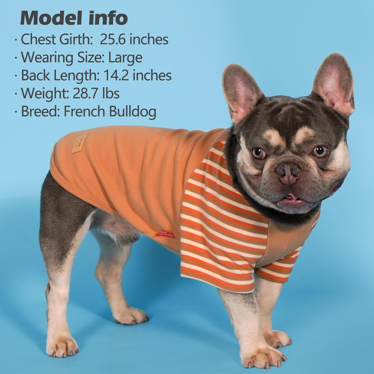 image:imageKYEESE 2Pack Dog Sweater Soft Puppy Sweatshirt Stretchy Pullover Dog Sweater for Small Dogs Girl Boy Lightweight Fleece Cat Shirt Pet Clothes with Sleeves M11 Khaki