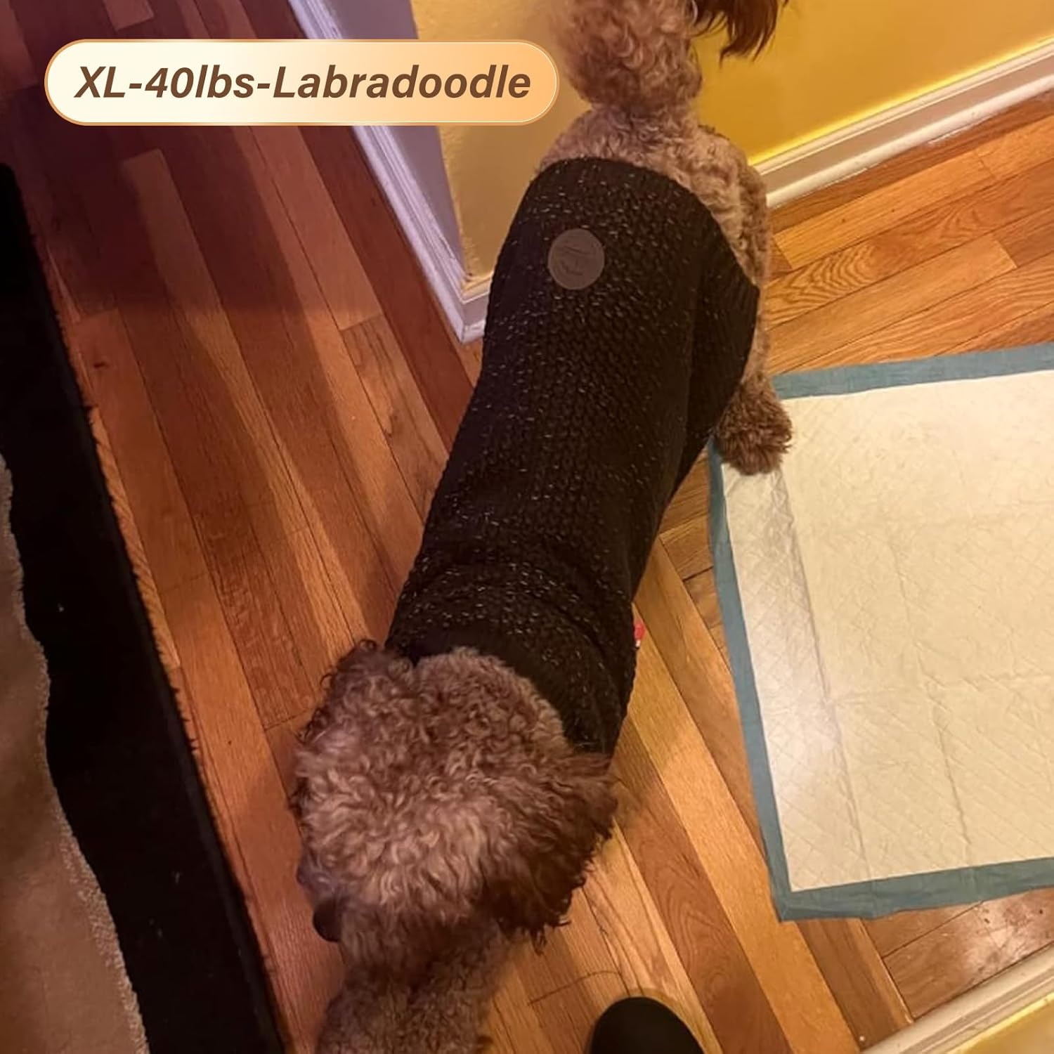 image:imageKYEESE Dog Sweater for Large Dogs with Leash Hole Warm Pullover with Reflective Yarn Male Thick Stretchy Knitwear Winter Soft Pet Coat boy for Cold Weather Comfy Dog SweatersOrange XXLarge2 Khaki
