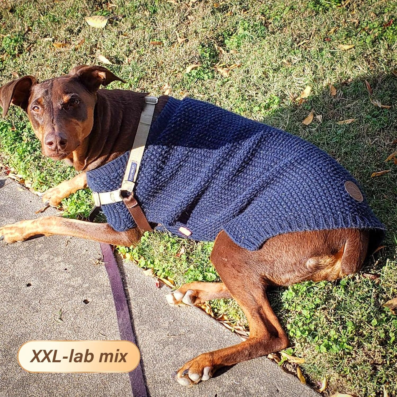 image:imageKYEESE Dog Sweater for Large Dogs with Leash Hole Warm Pullover with Reflective Yarn Male Thick Stretchy Knitwear Winter Soft Pet Coat boy for Cold Weather Comfy Dog SweatersOrange XXLarge1 Navyblue