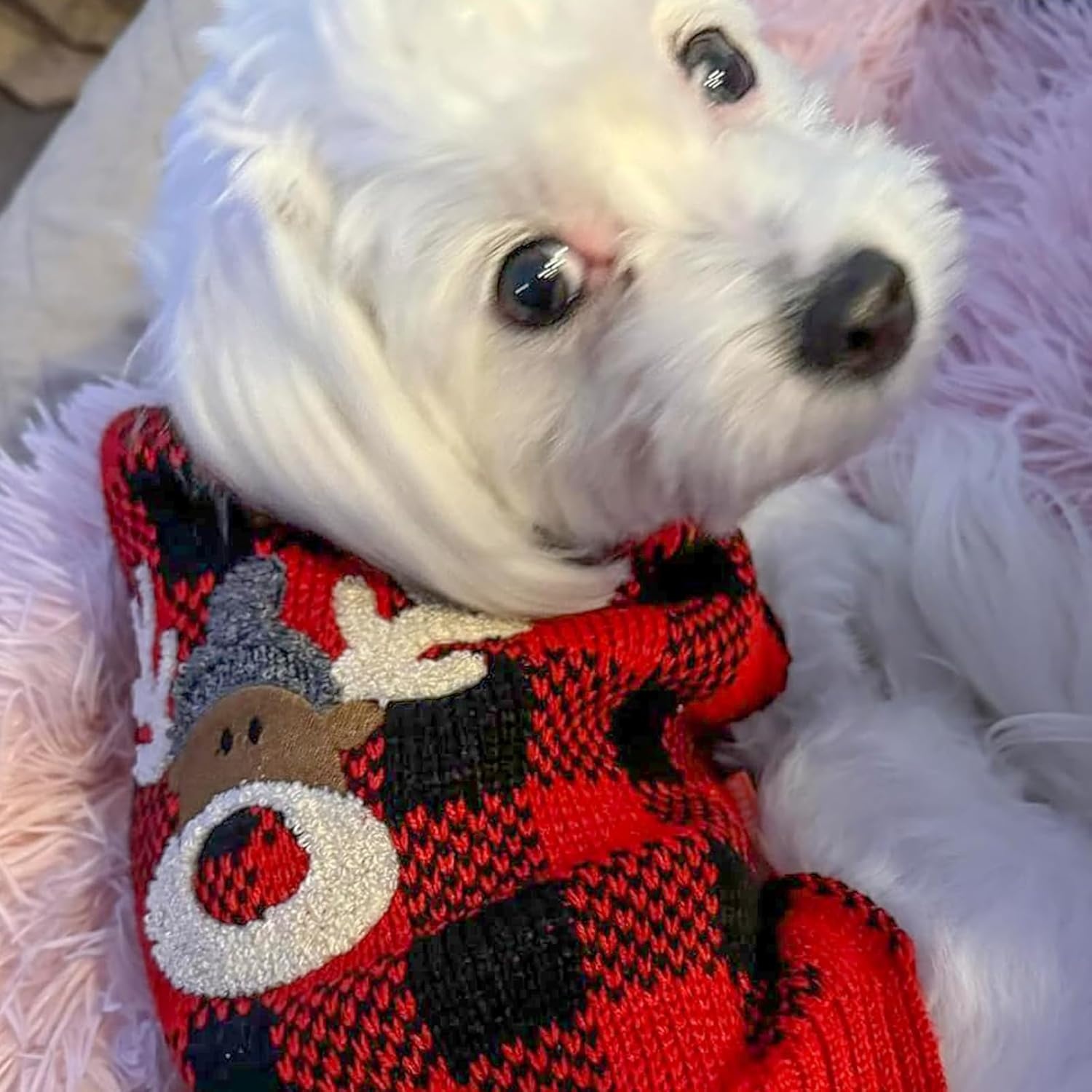 image:imageKYEESE Dog Christmas Sweater with Reindeer Pattern Cozy Holiday Outfit Turtleneck Dog Sweater for Small Dogs with Leash Hole Red Buffalo Plaid Knitwear Soft Warm Festival Dogs Clothes Large3Christmas